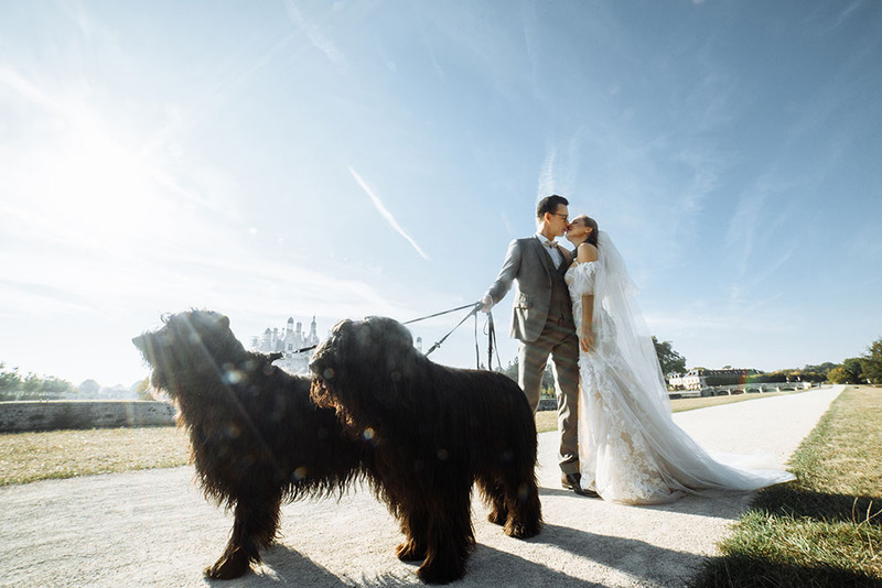 A bride and groom kiss in the sunshine while walking two large black dogs