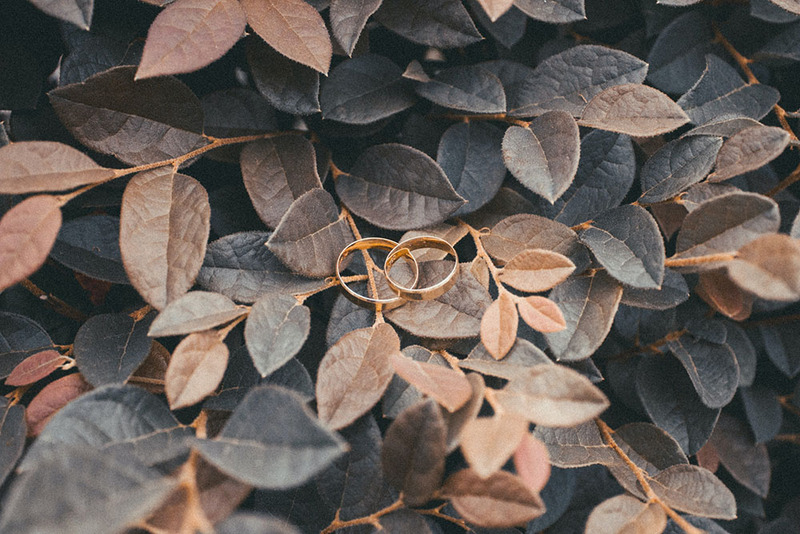 Close up photo of two wedding rings placed on a bed of soft leaves and branches, that are dark and light purple and brown colored