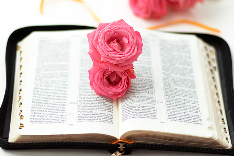 Bible open with roses and wedding rings