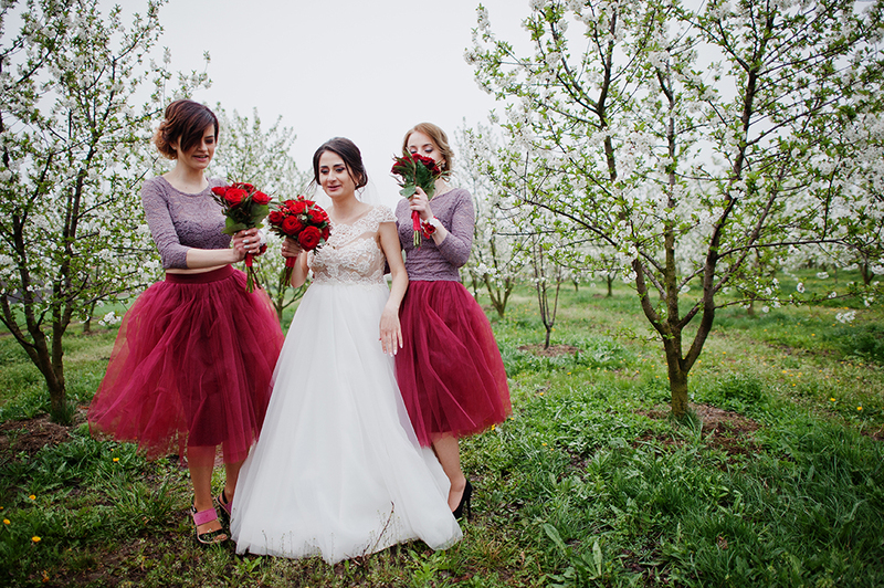 Bride and bridesmaids pose happily in an apple orchard. It is spring and the trees are full of white apple blossoms. The bridesmaids wear bright red taffeta skirts and the bride is in a white wedding dress.