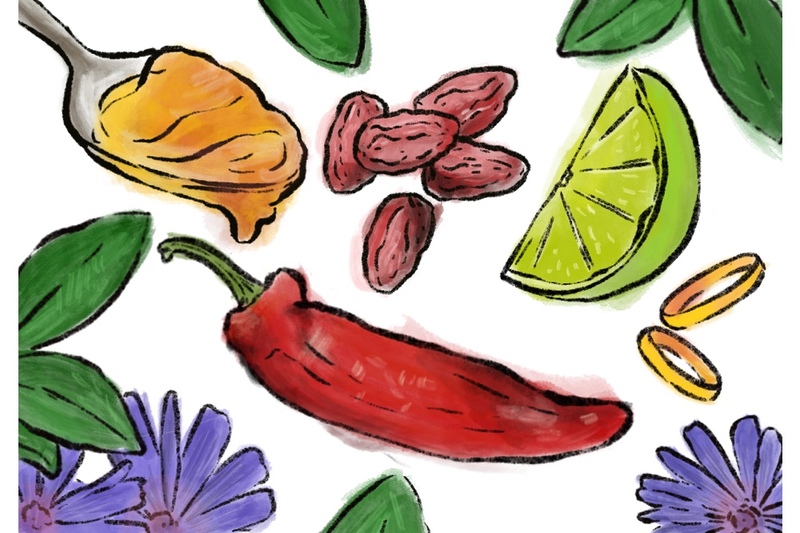 Illustration stylized to represent the tasting of the four elements, there are drawings of honey, hot pepper, lime, and flowers 