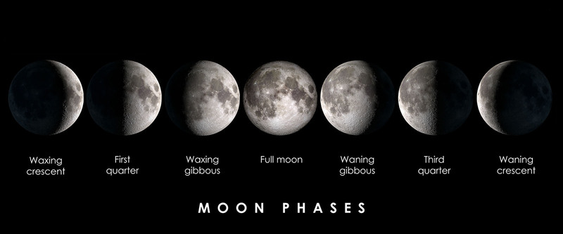 The phases of the moon diagram