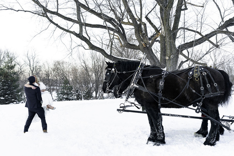 El novio sostiene a la novia en brazos afuera en un bosque nevado, junto a un caballo y un carruaje el día de la boda