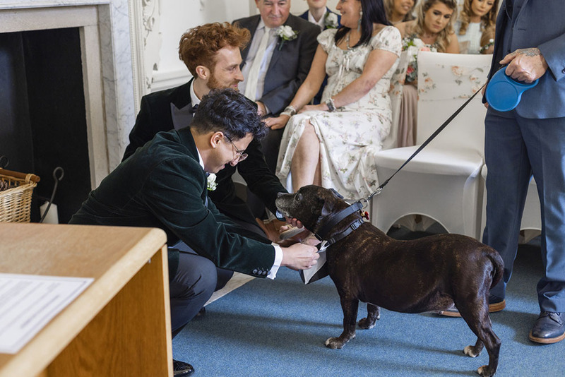 Two grooms with their dog at the wedding