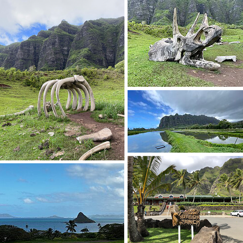 Collage of photos from Jurassic Valley, showing lush mountains and blue skies, mist and clouds, and prop dinosaur bones