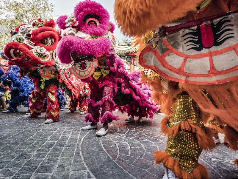 colorful lion dancers outdoors, red, pink, orange costumes