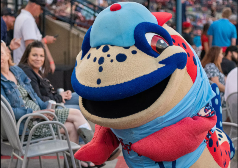 Ribby the mascot