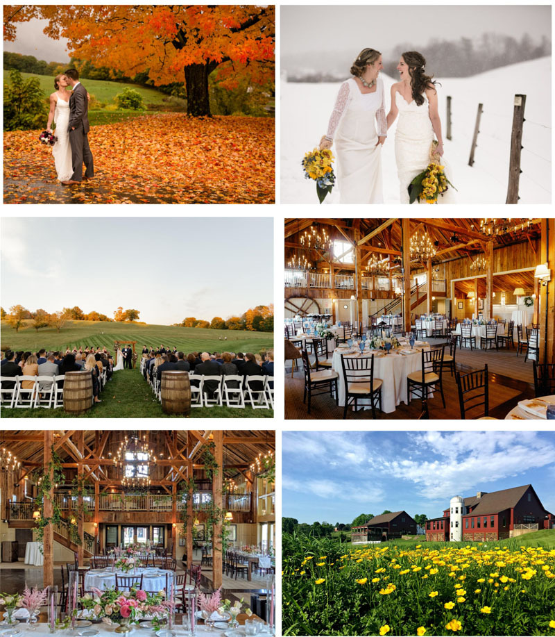 photos from all 4 seasons at the Barn at Gibbet Hill wedding venue
