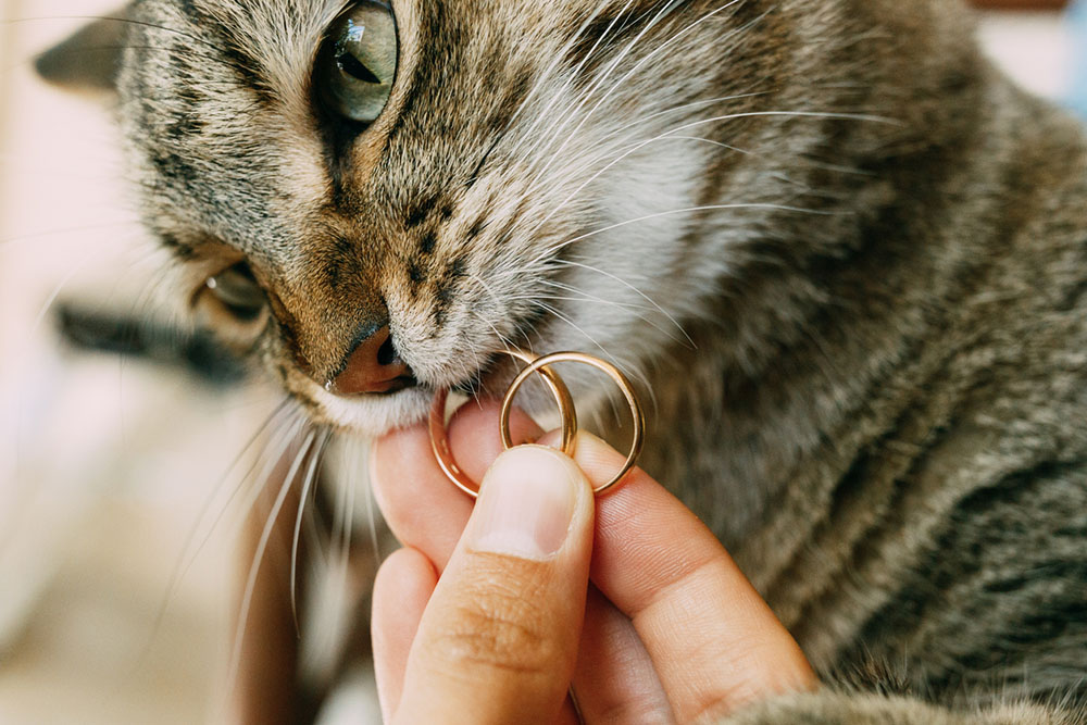 (Photo: Nadtochiy / iStock)
