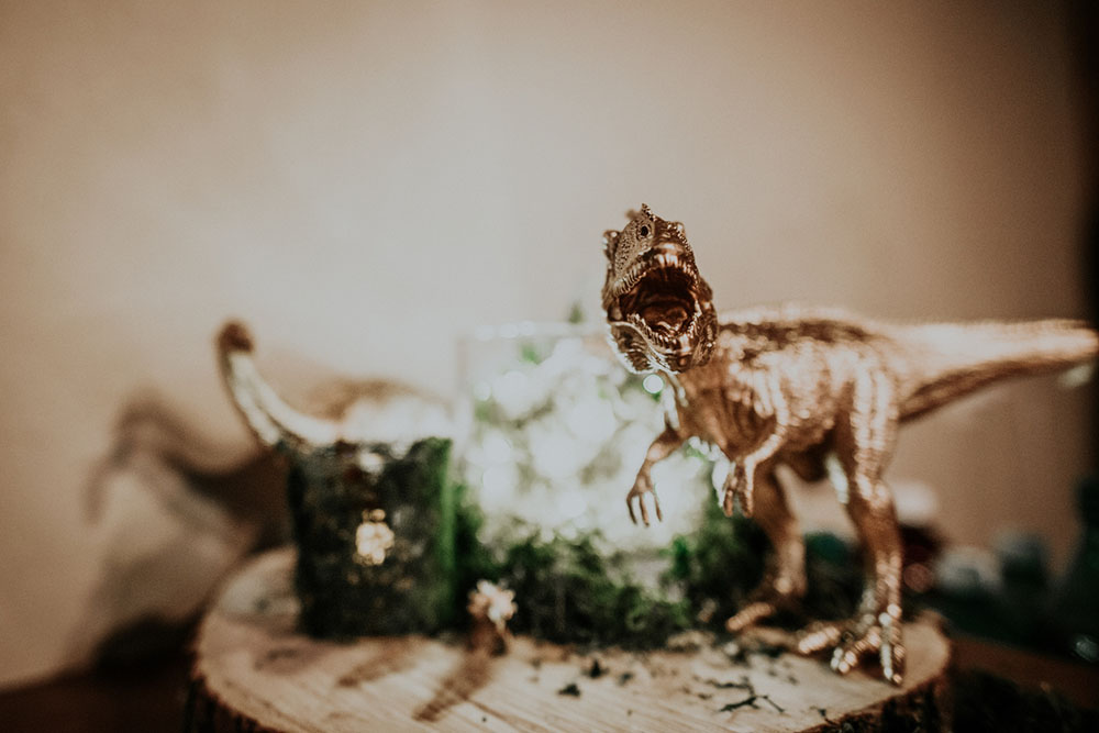 Dinosaur poses next to wedding rings