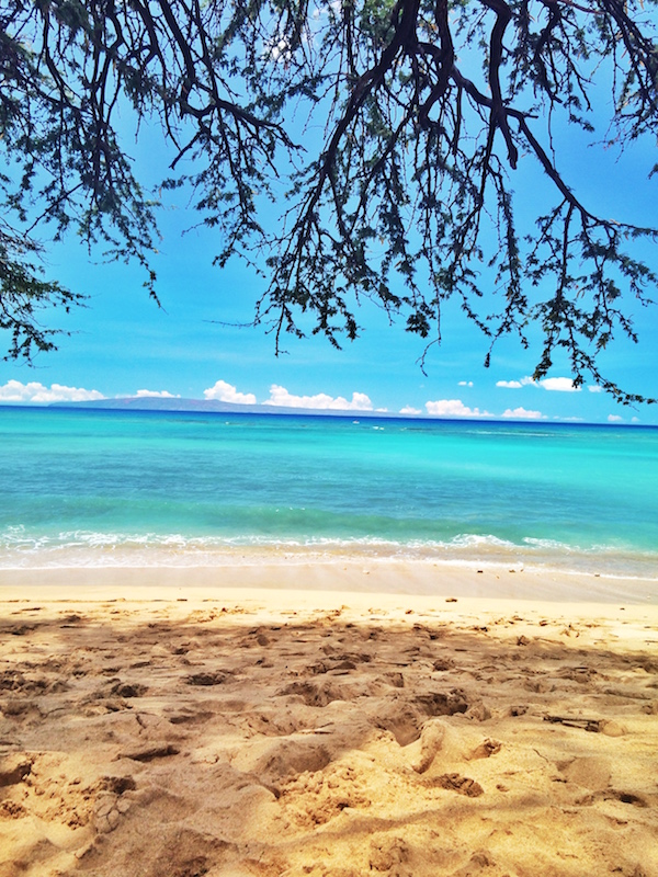 Maui.sandy .beaches.1
