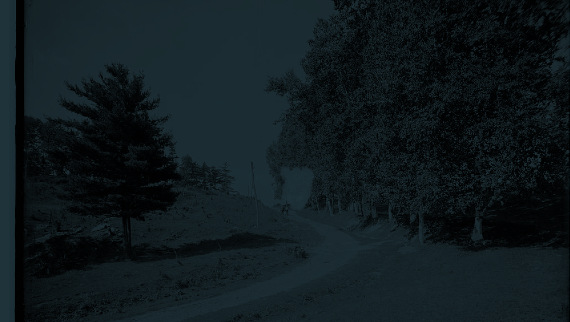 Photo texture p 2000