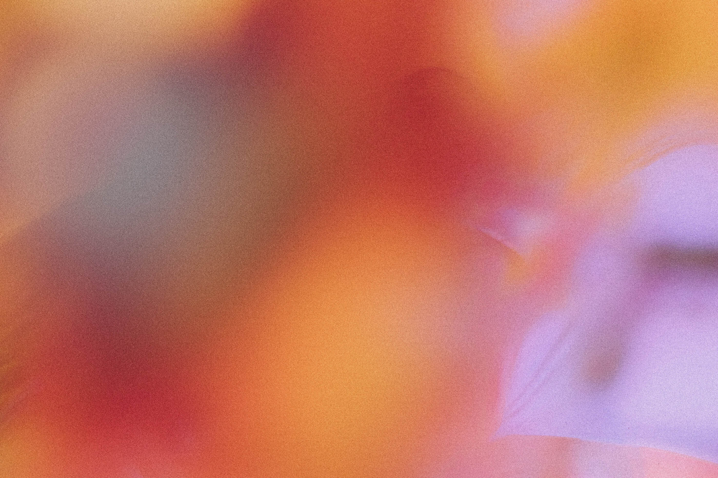 Evelyn verdin Amp0o7y F C0 unsplash