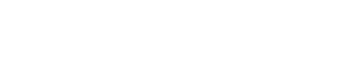 Primary logo light