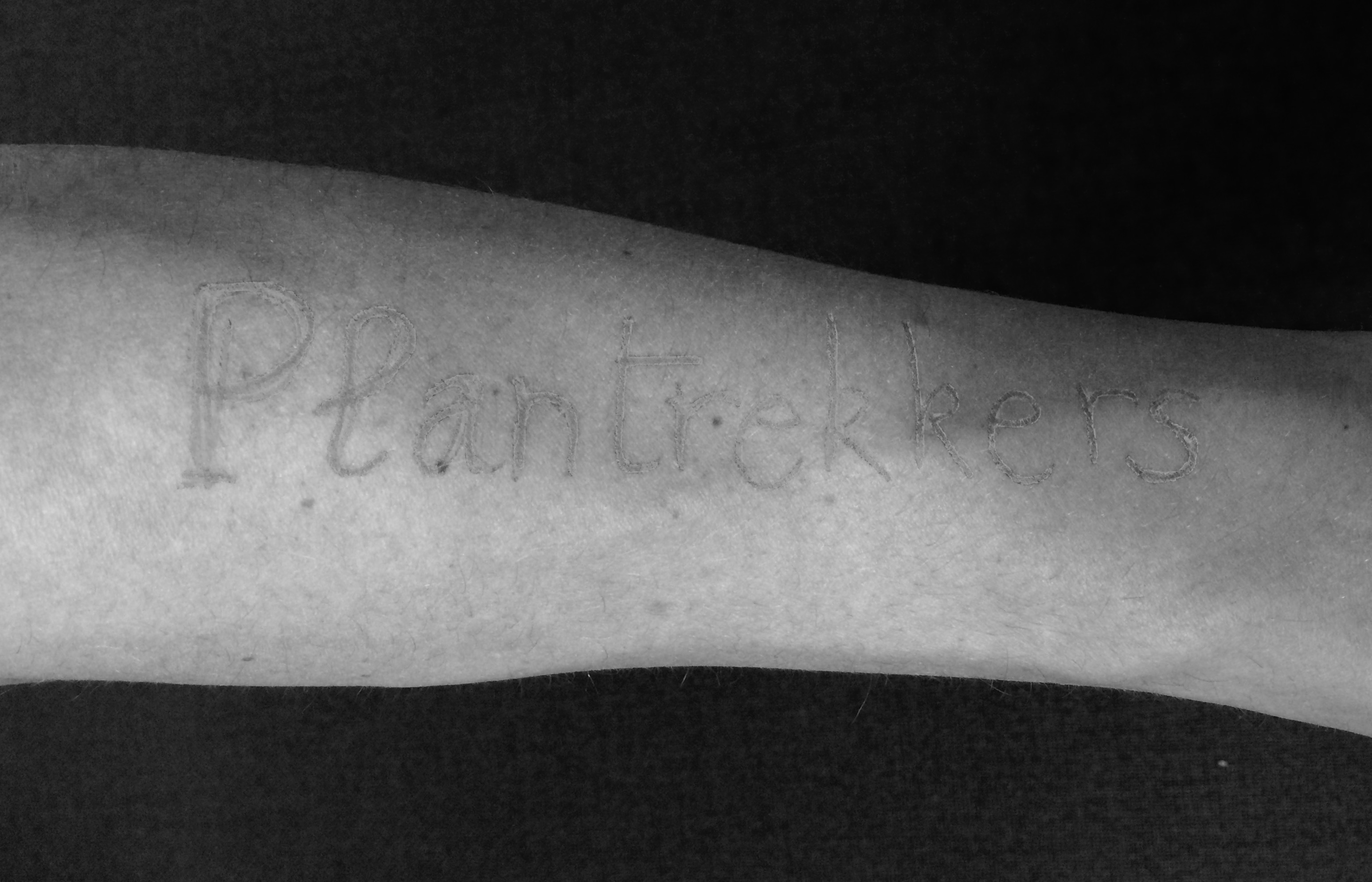 Plantrekkers