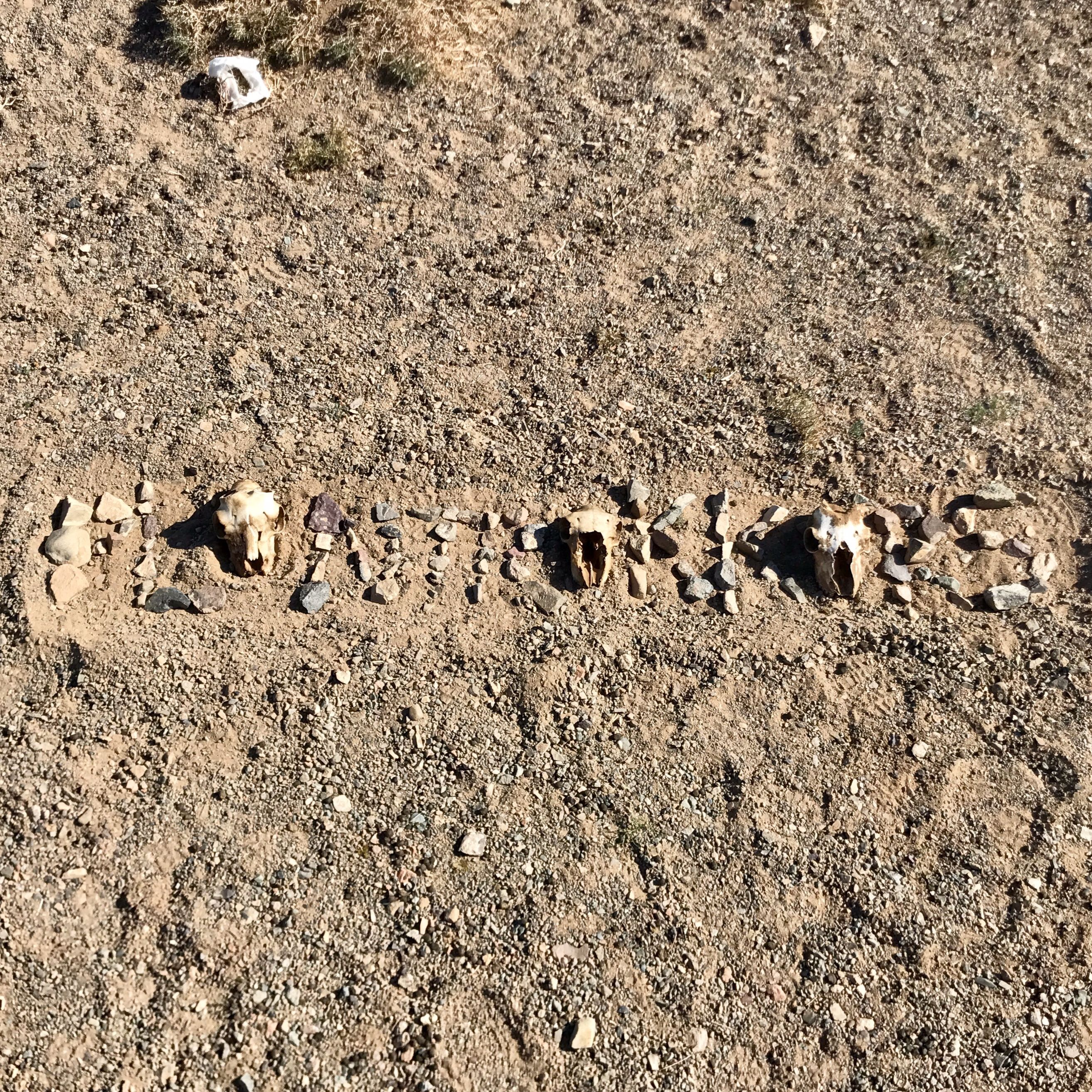 Plantrekkers