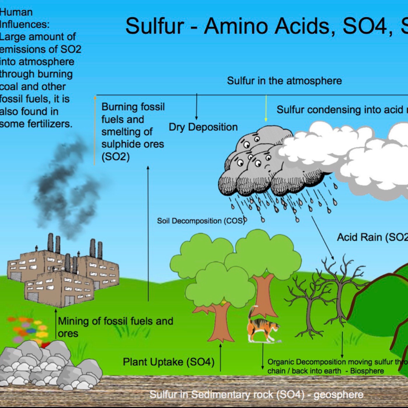 Ep4: Integrating Technology in Biology and Environmental Science