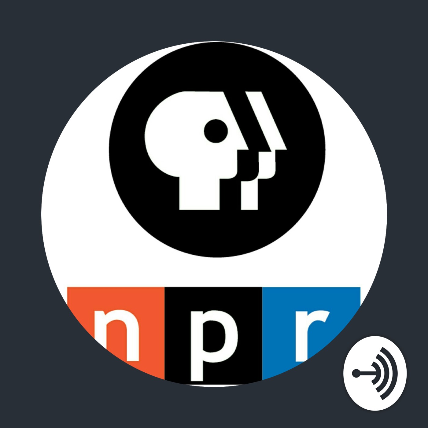 #PubMedia Fans: Podcast Ep. 1