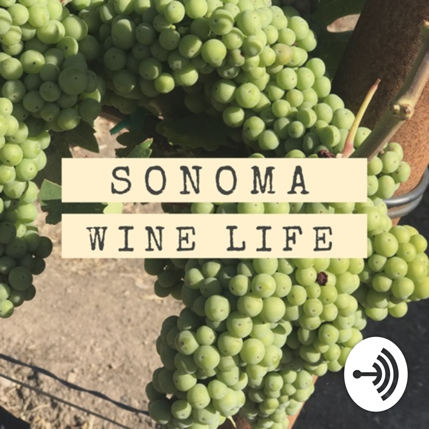 <![CDATA[Sonoma Wine Life]]>