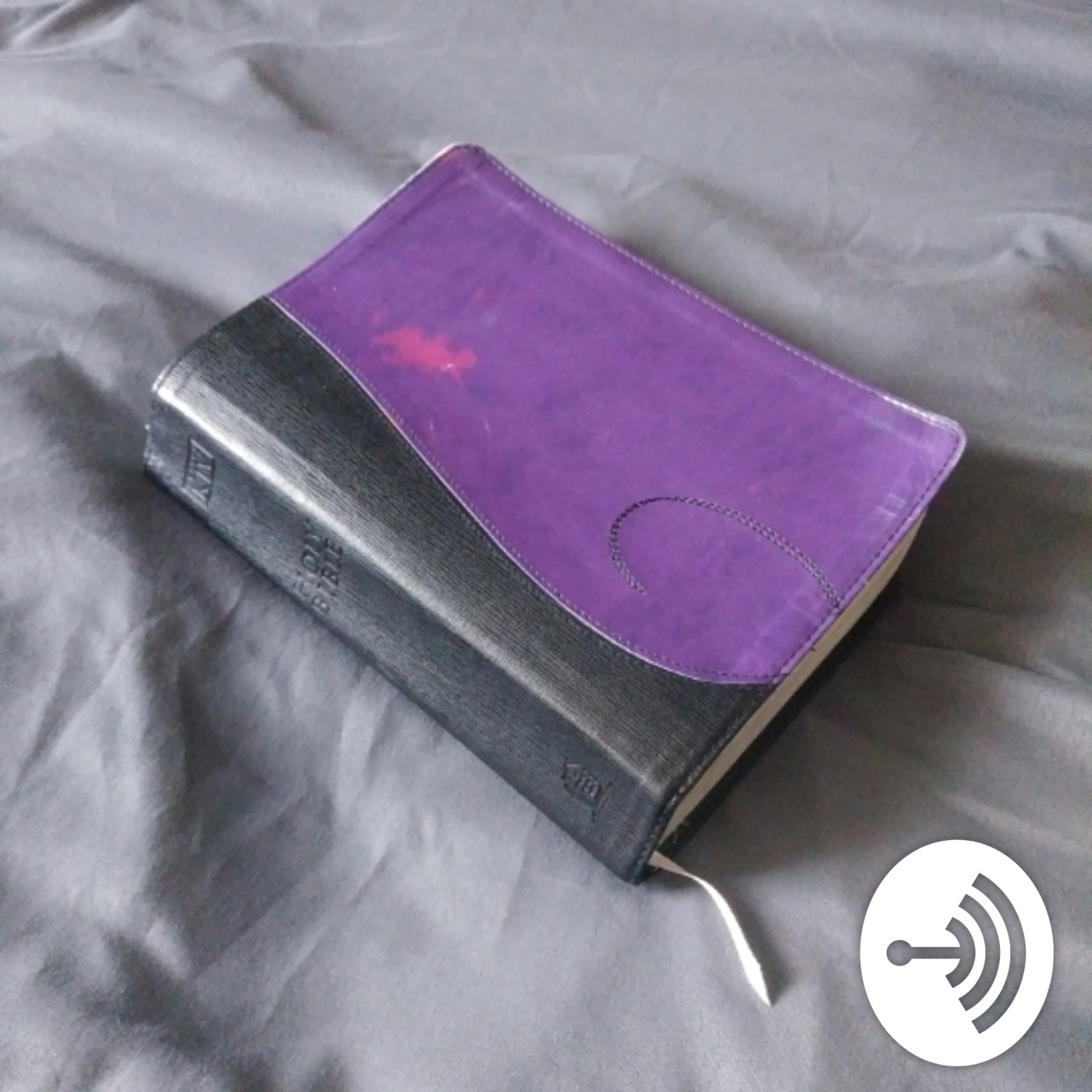 Jan 8 Evening Bible Reading