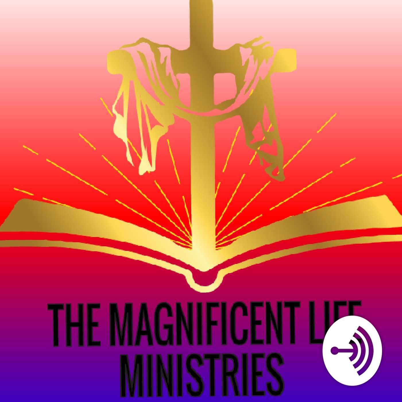 Magnificent Life cover