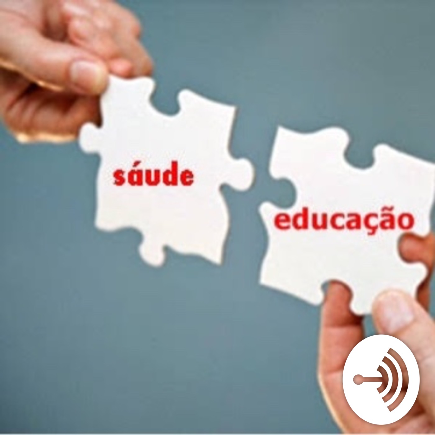Aula Enade - Sistema cardiovascular parte 1 - Anatomia