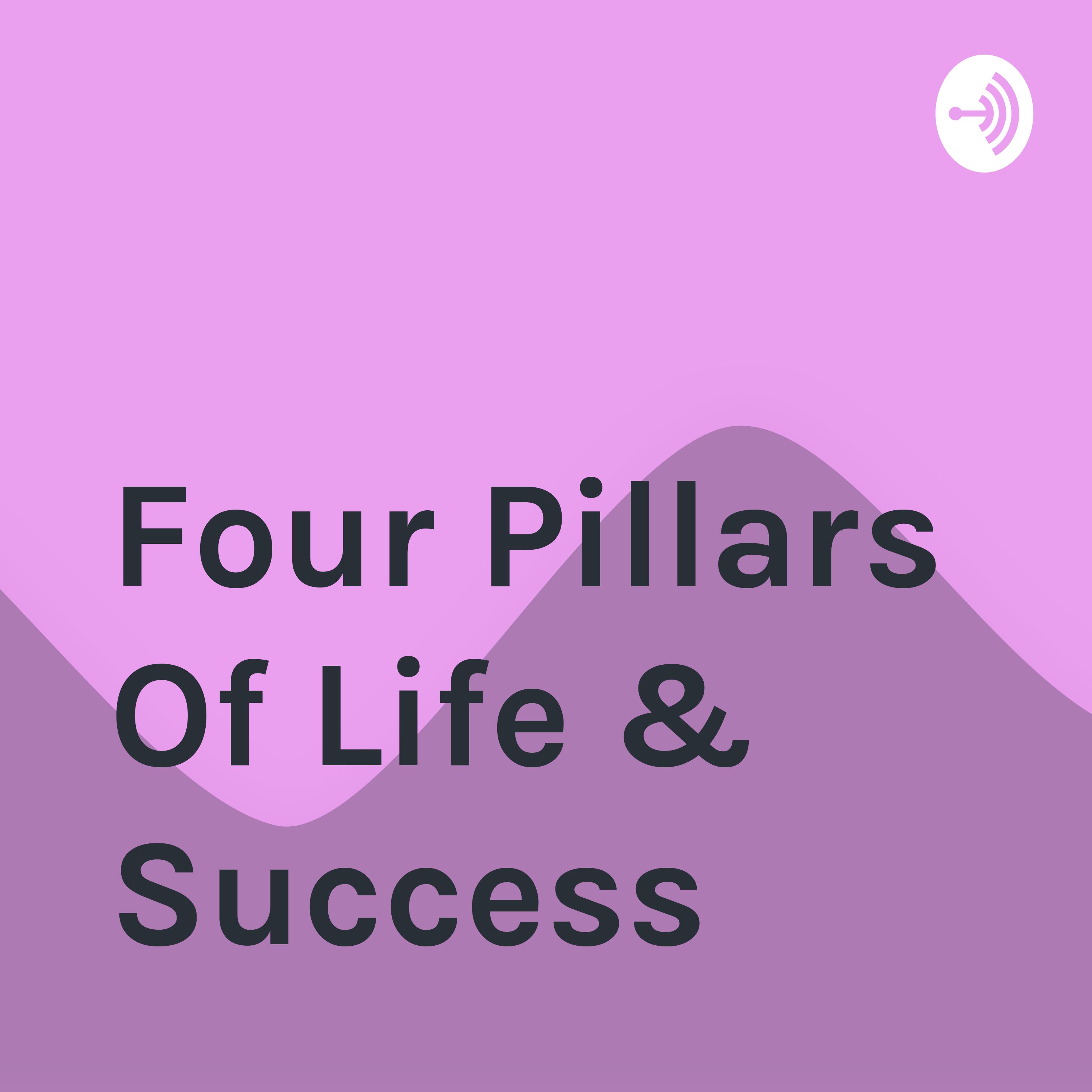Dedicating on positive and self improvment. Four main princpal of success.