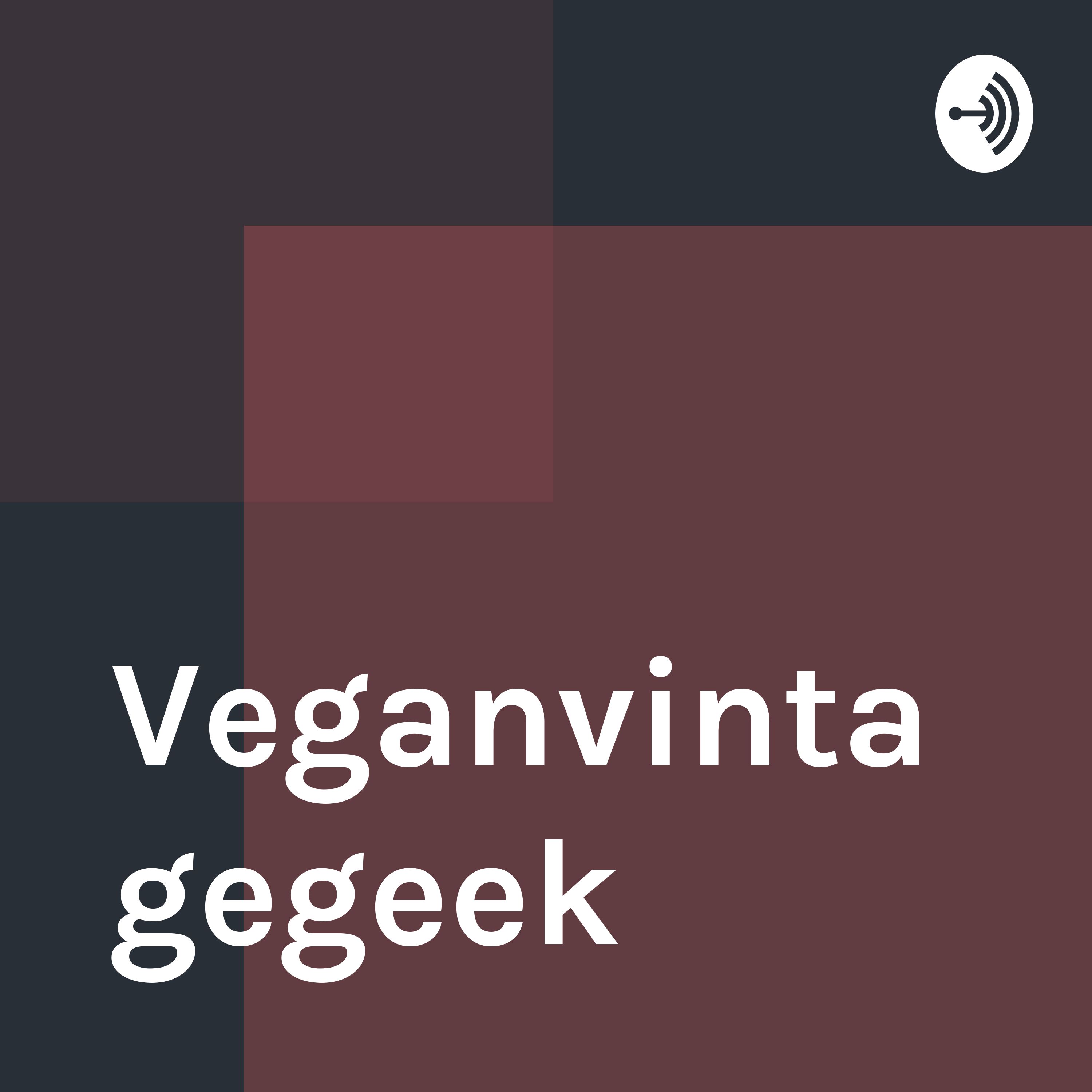 Veganvintagegeek cover