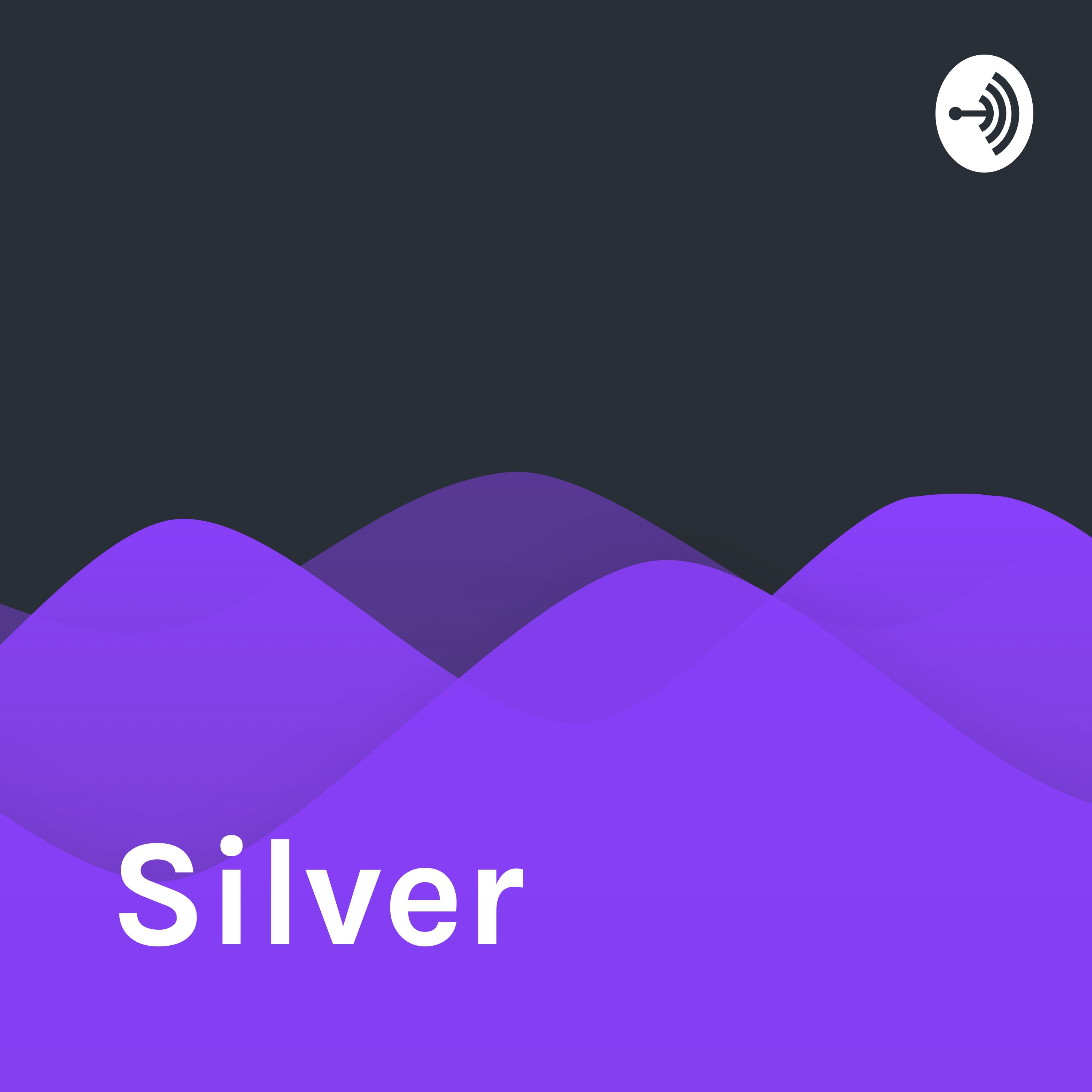 Pilot - silver