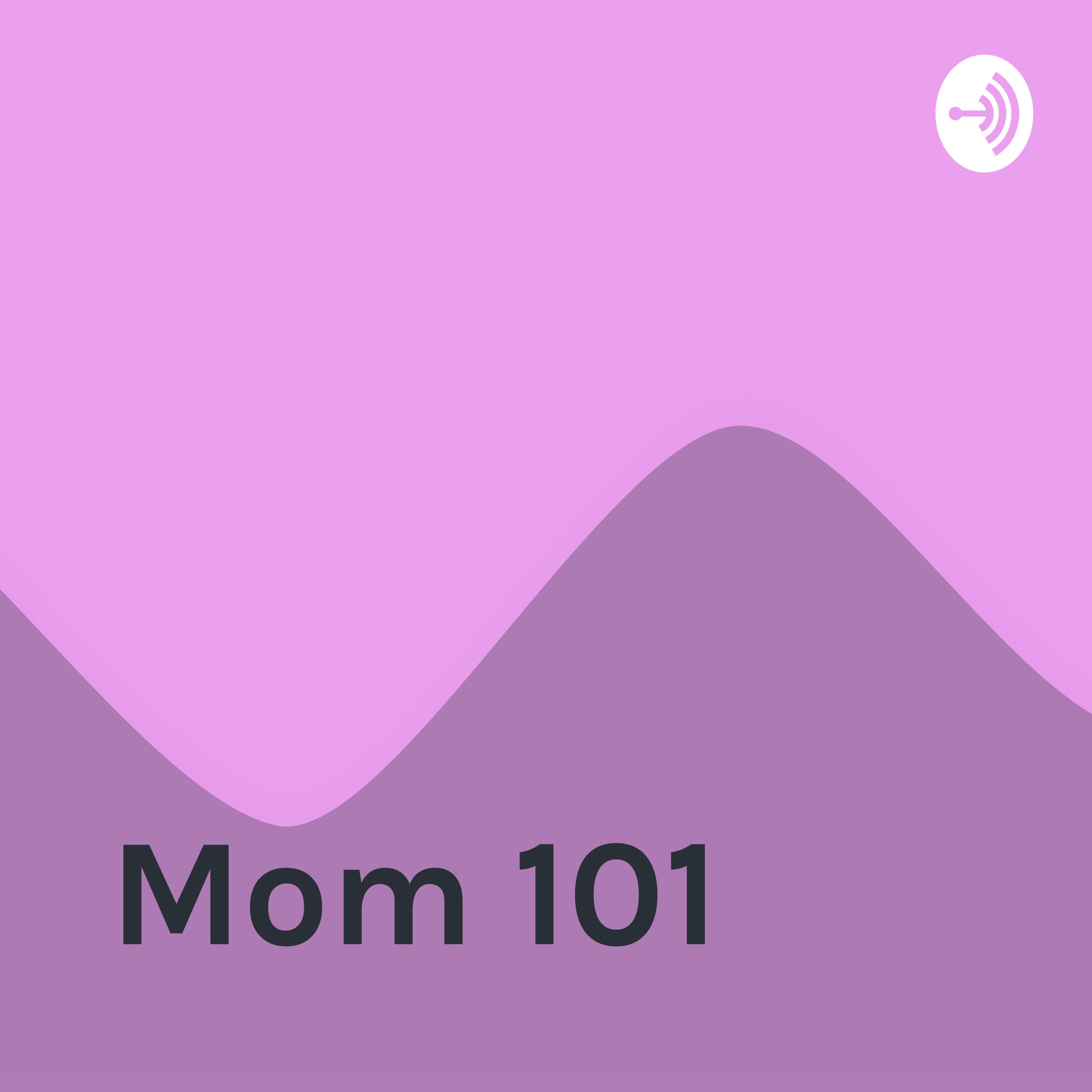 What is mom 101