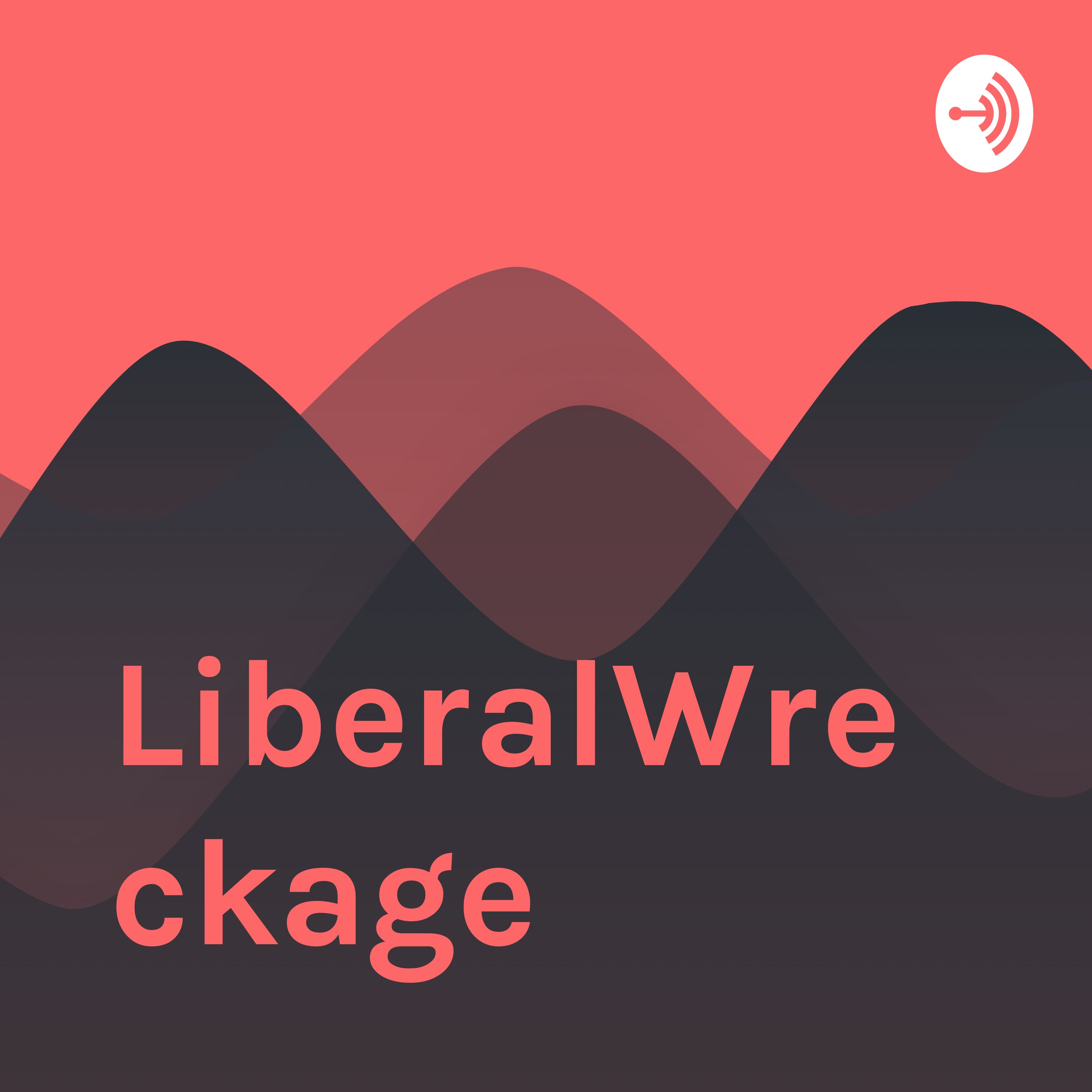 "NRA Propoganda" Reading SJW Tweets podcast #2