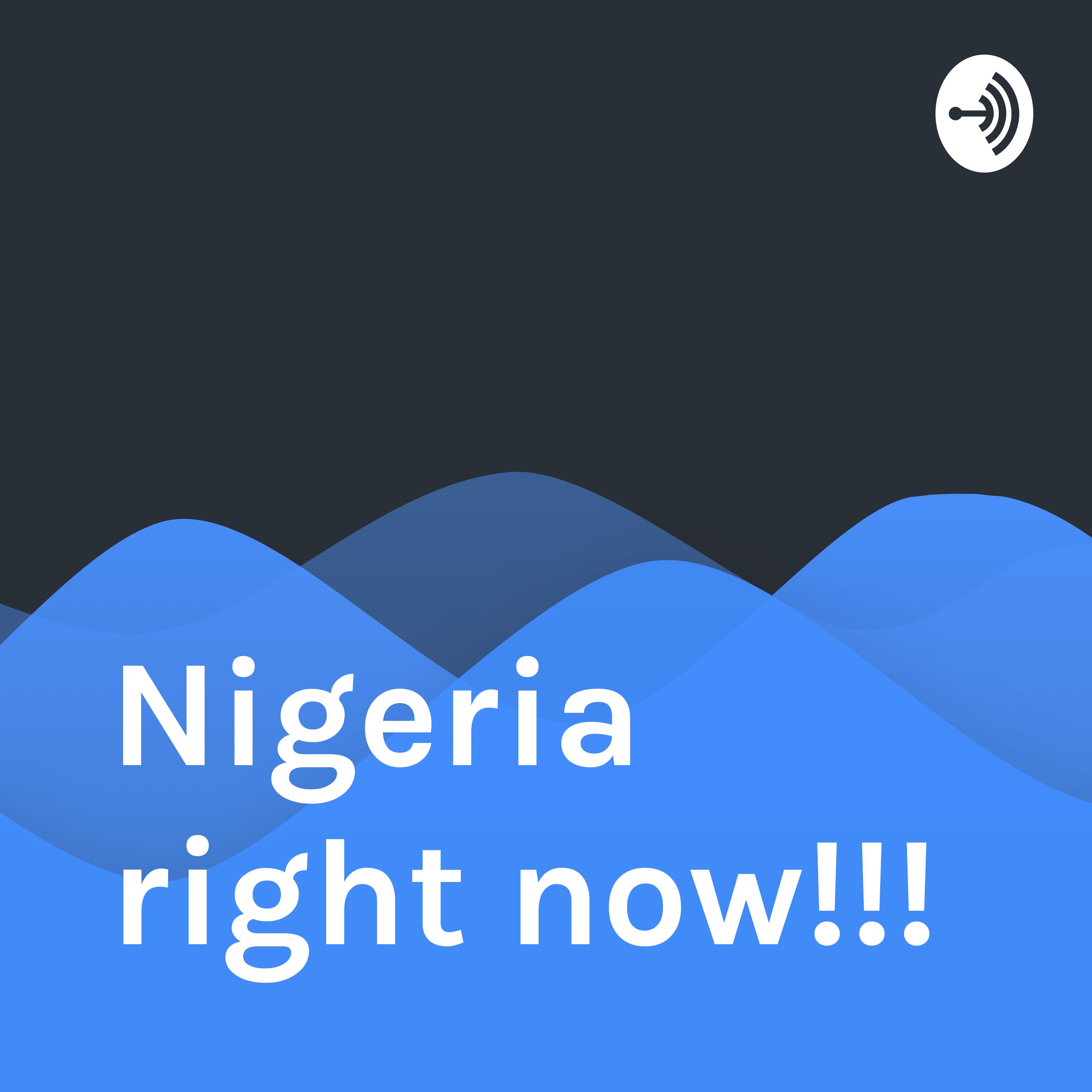 Nigerian youths ain't lazy 2