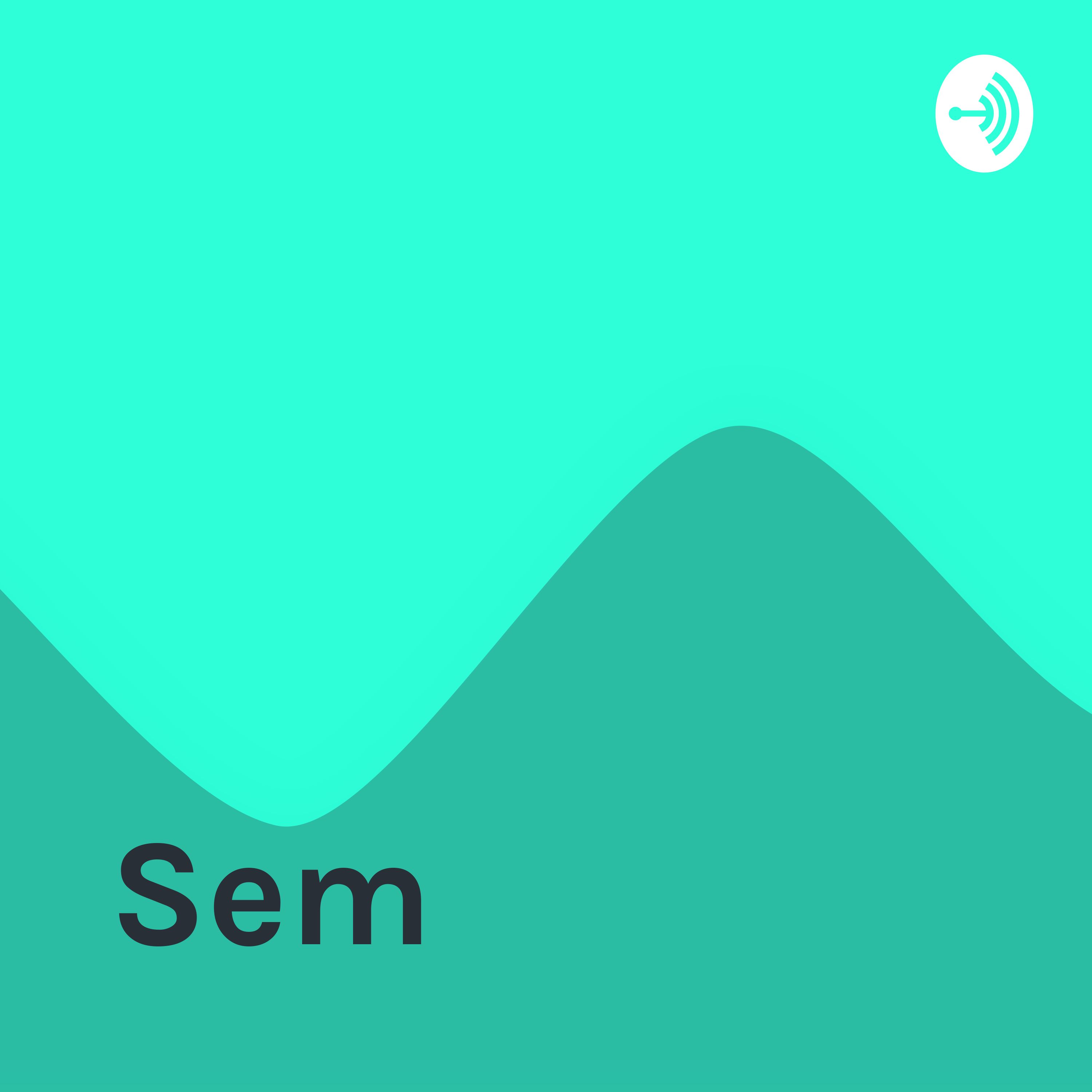 <![CDATA[Sem]]>