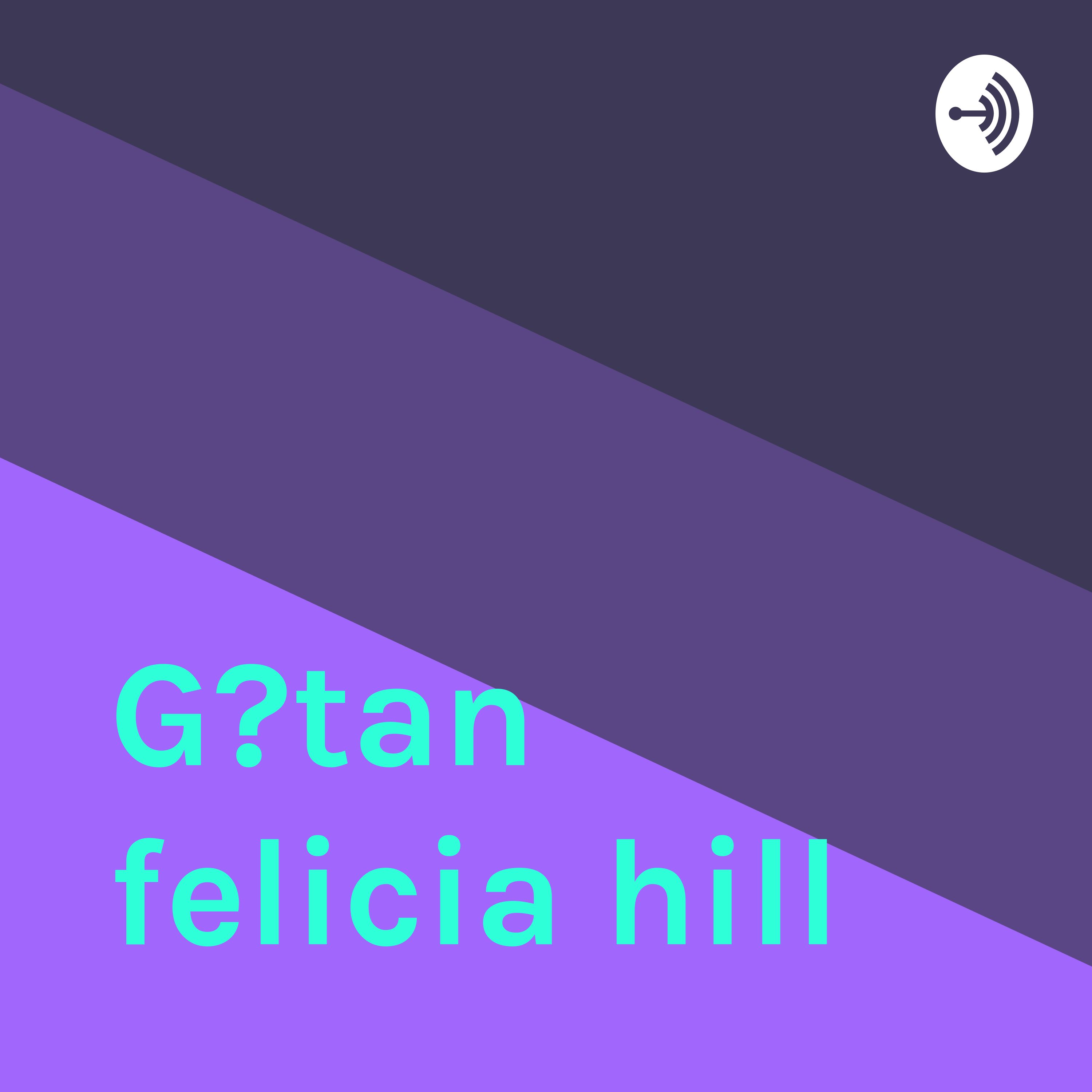 Gåtan felicia hill