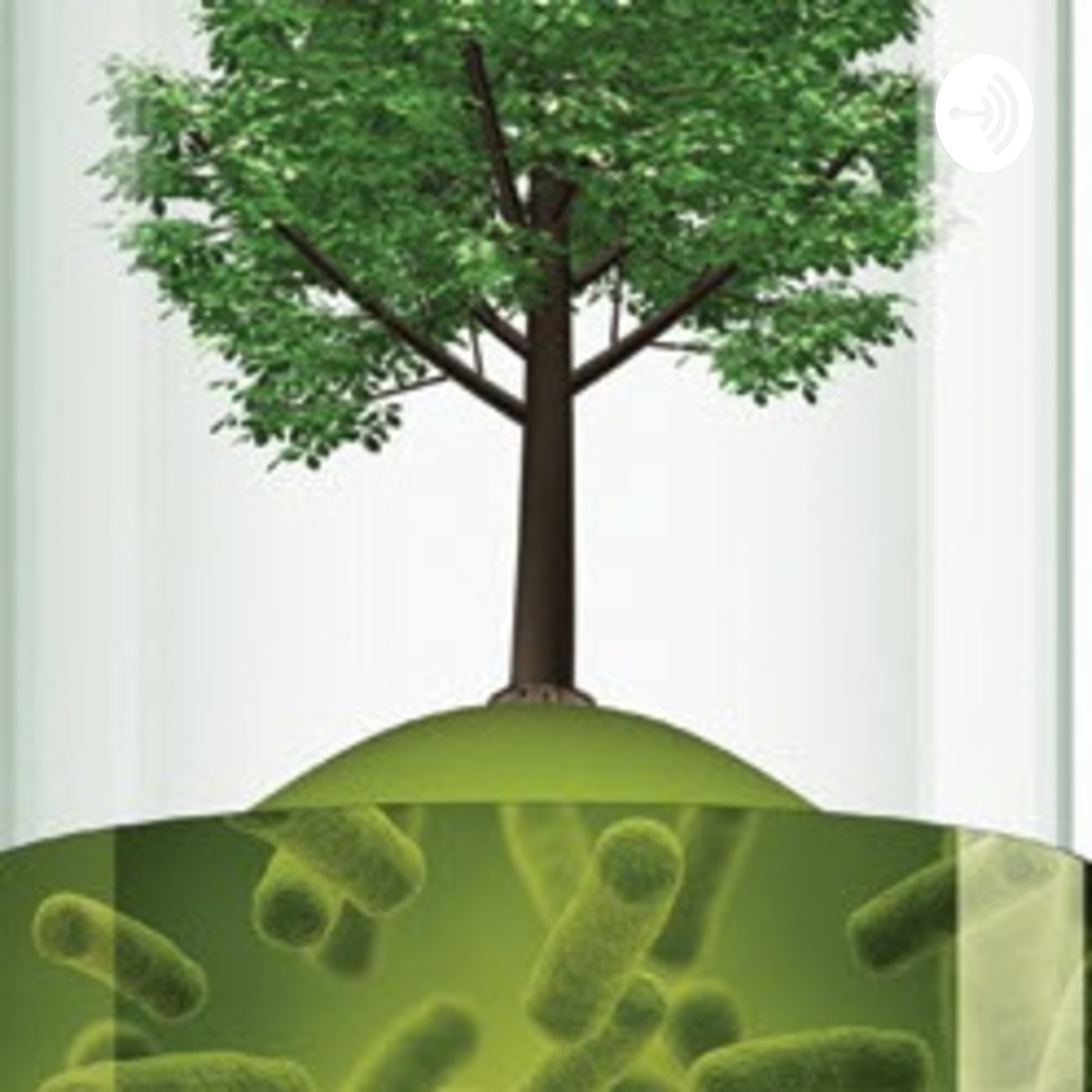 Why you need microbes in your soil!