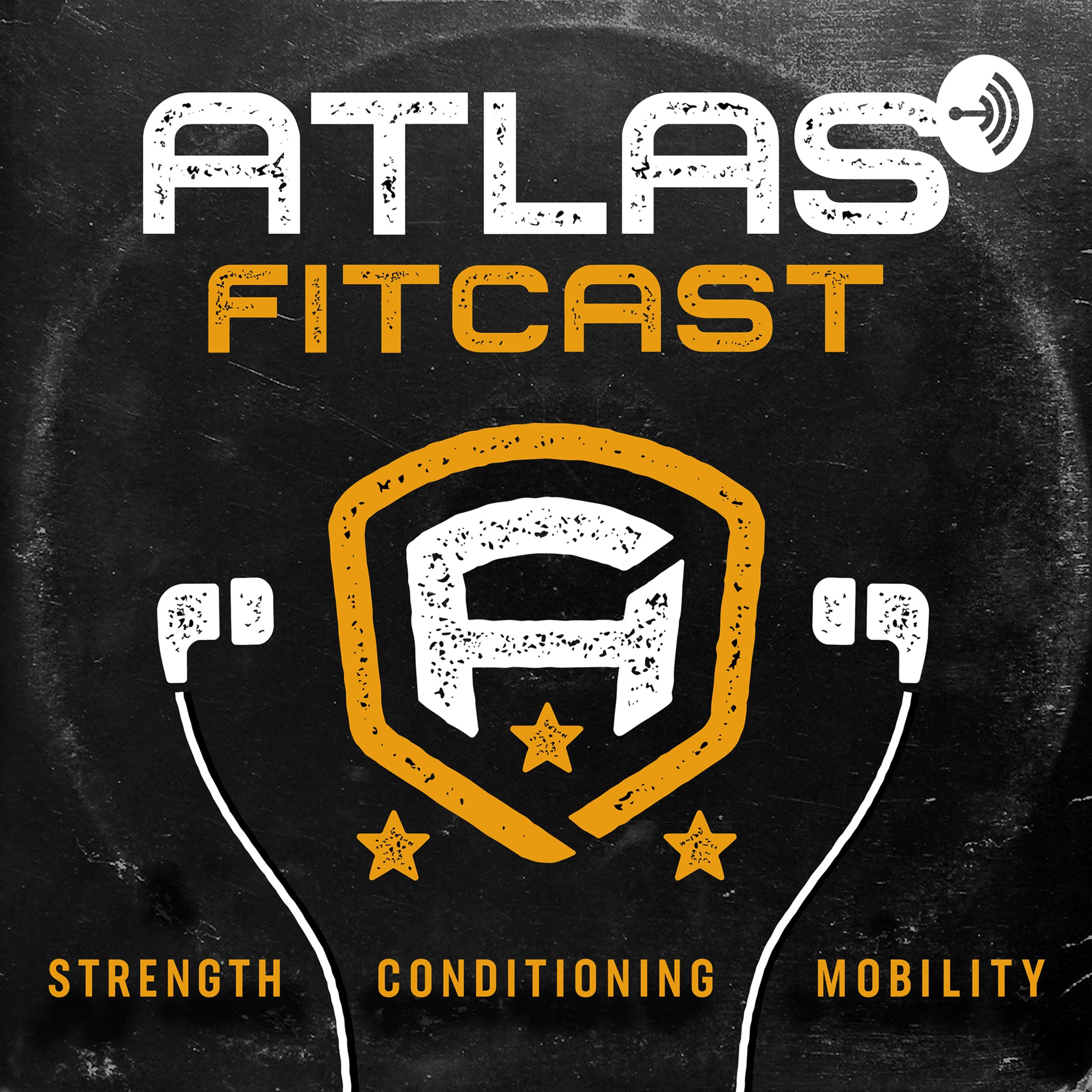 Obstacle Race Training and Preparation