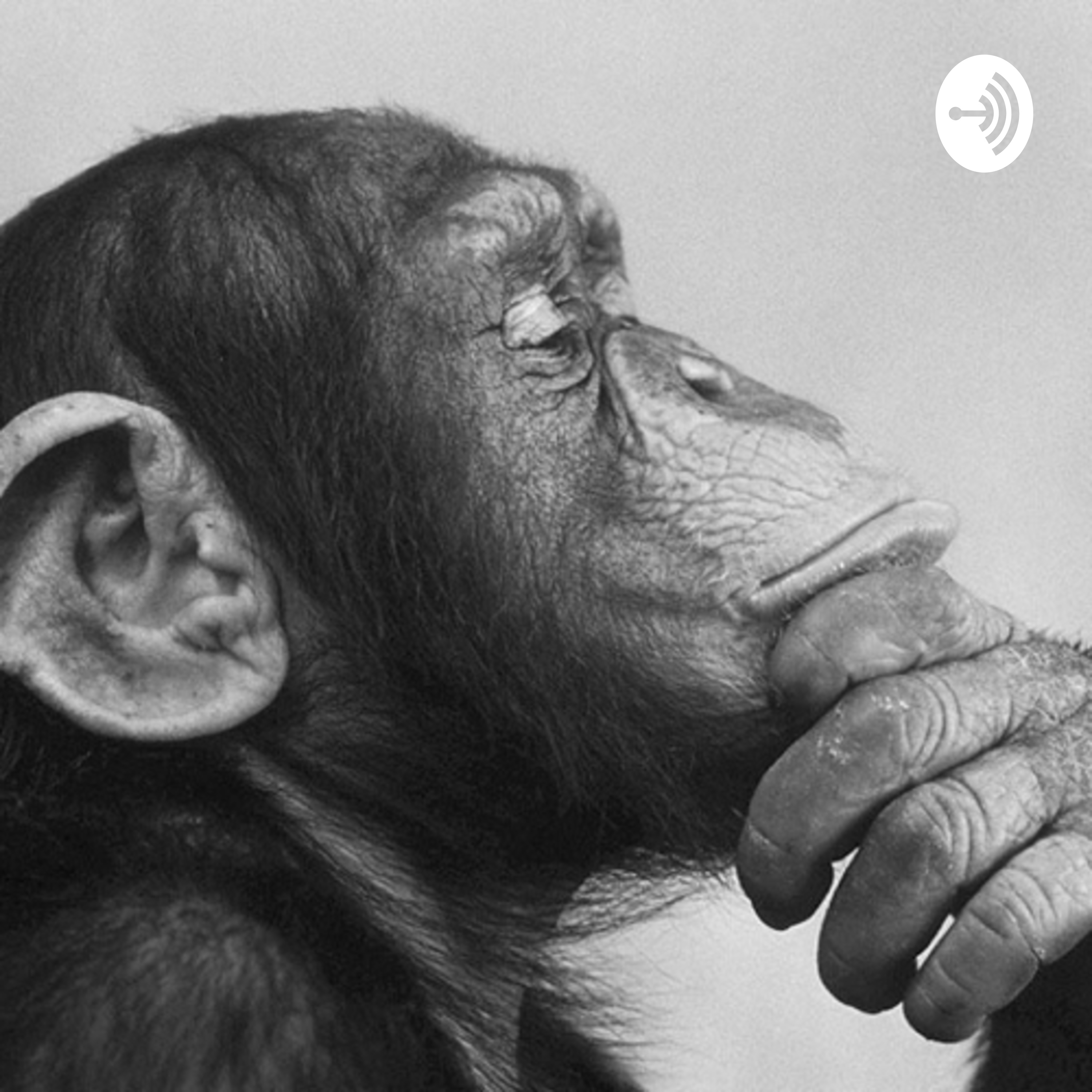 STARTING TO PODCAST