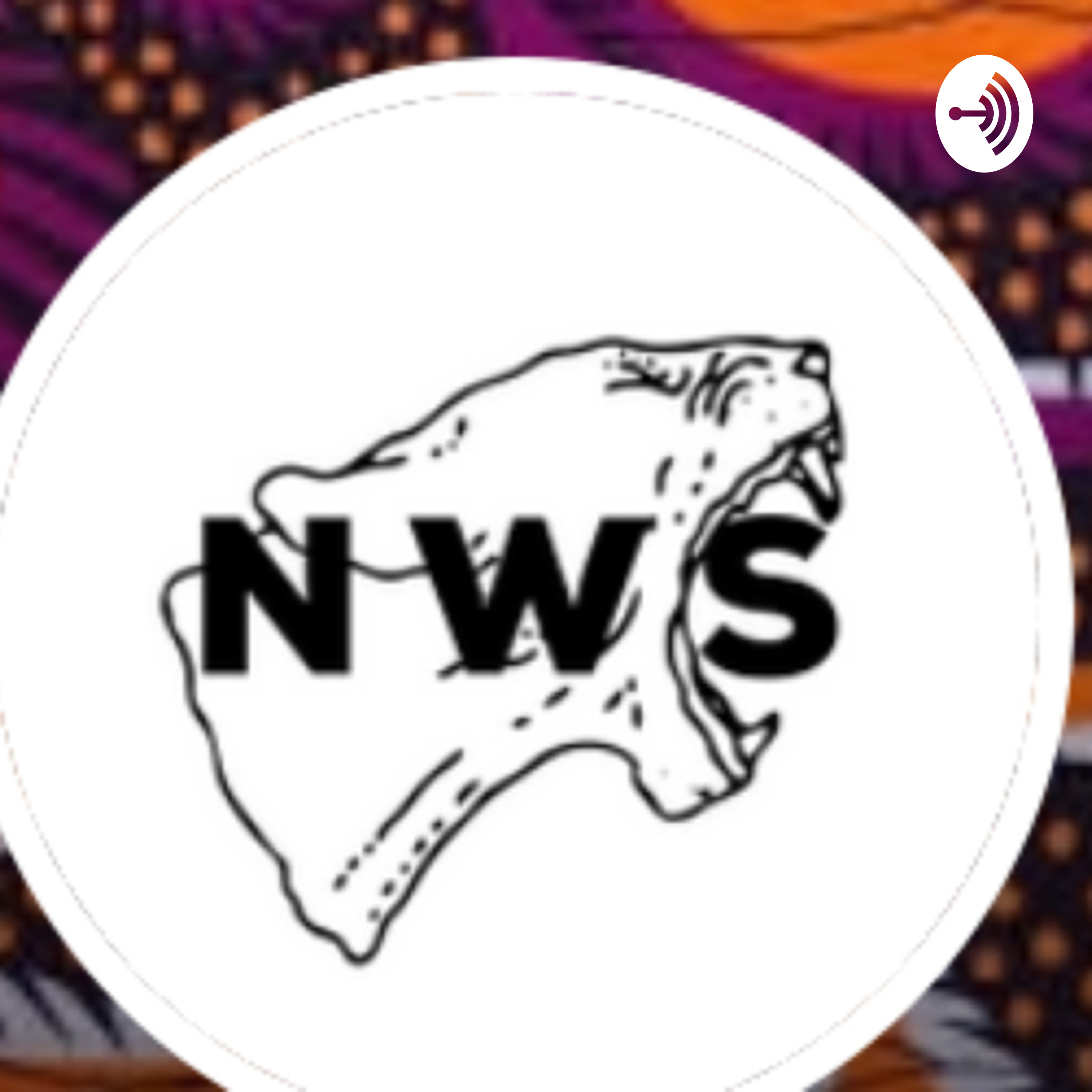 Introduction: How NWS started