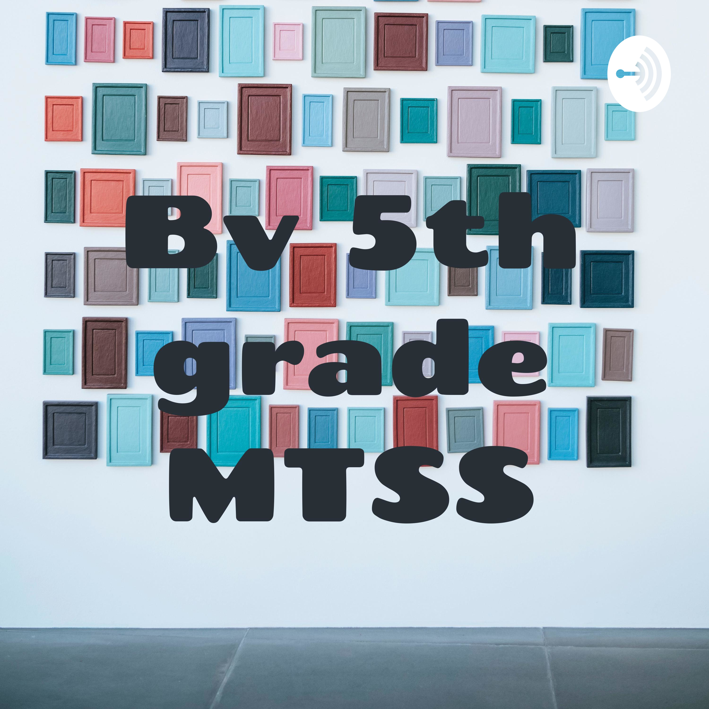 5th grade mtss
