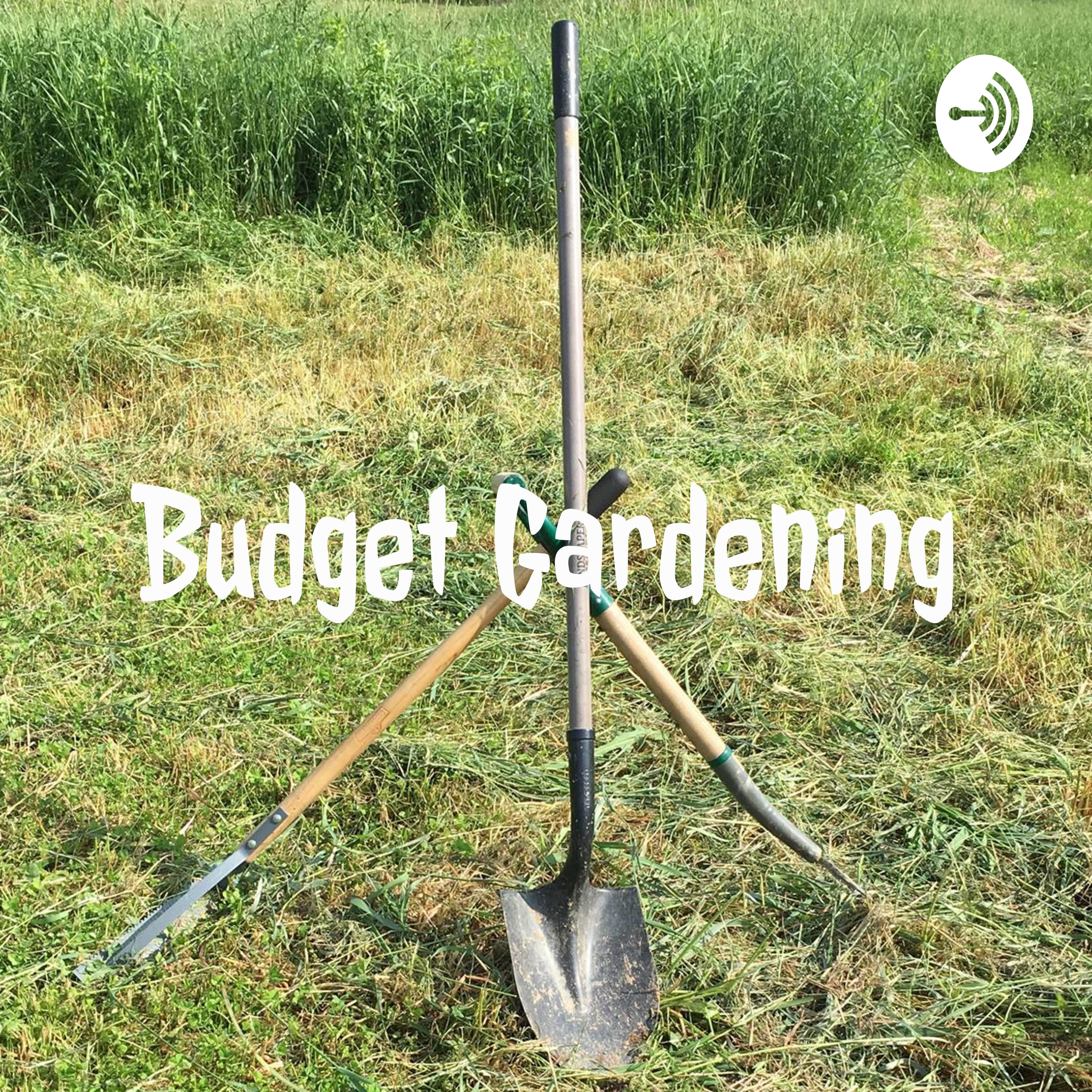 Cover Crops and Soil Compaction