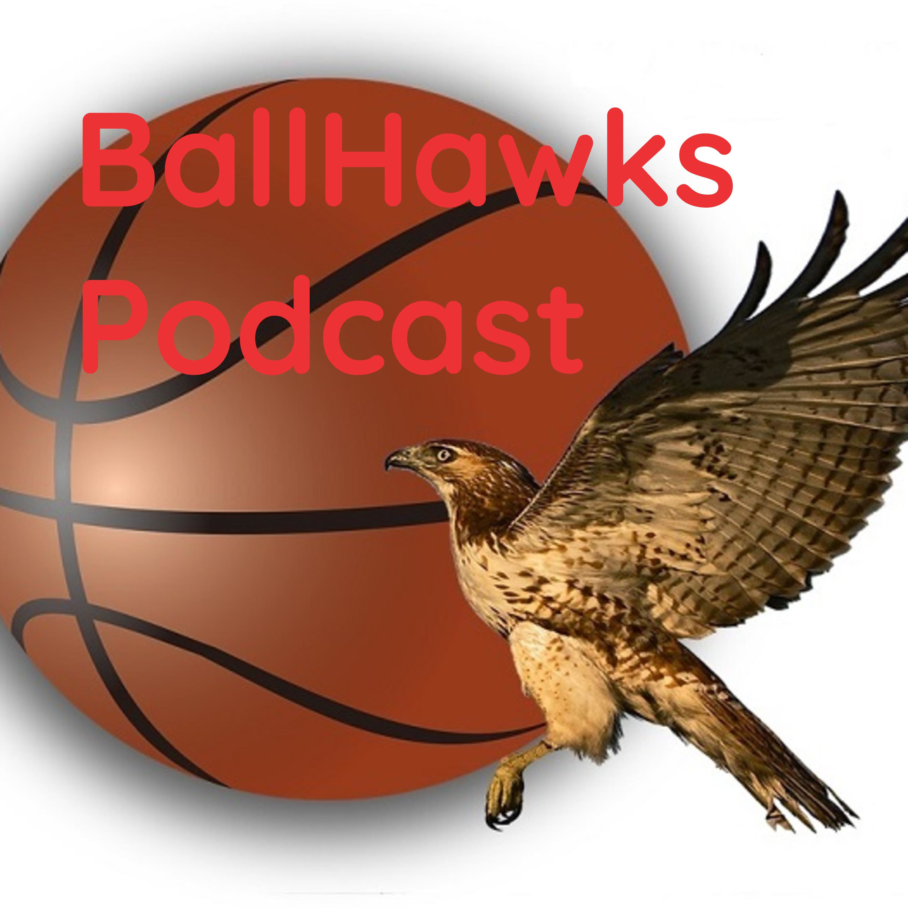BallHawks 22: Atlanta Hawks Top 5 Players in 18-19 / Atlanta Hawks Year-End Awards