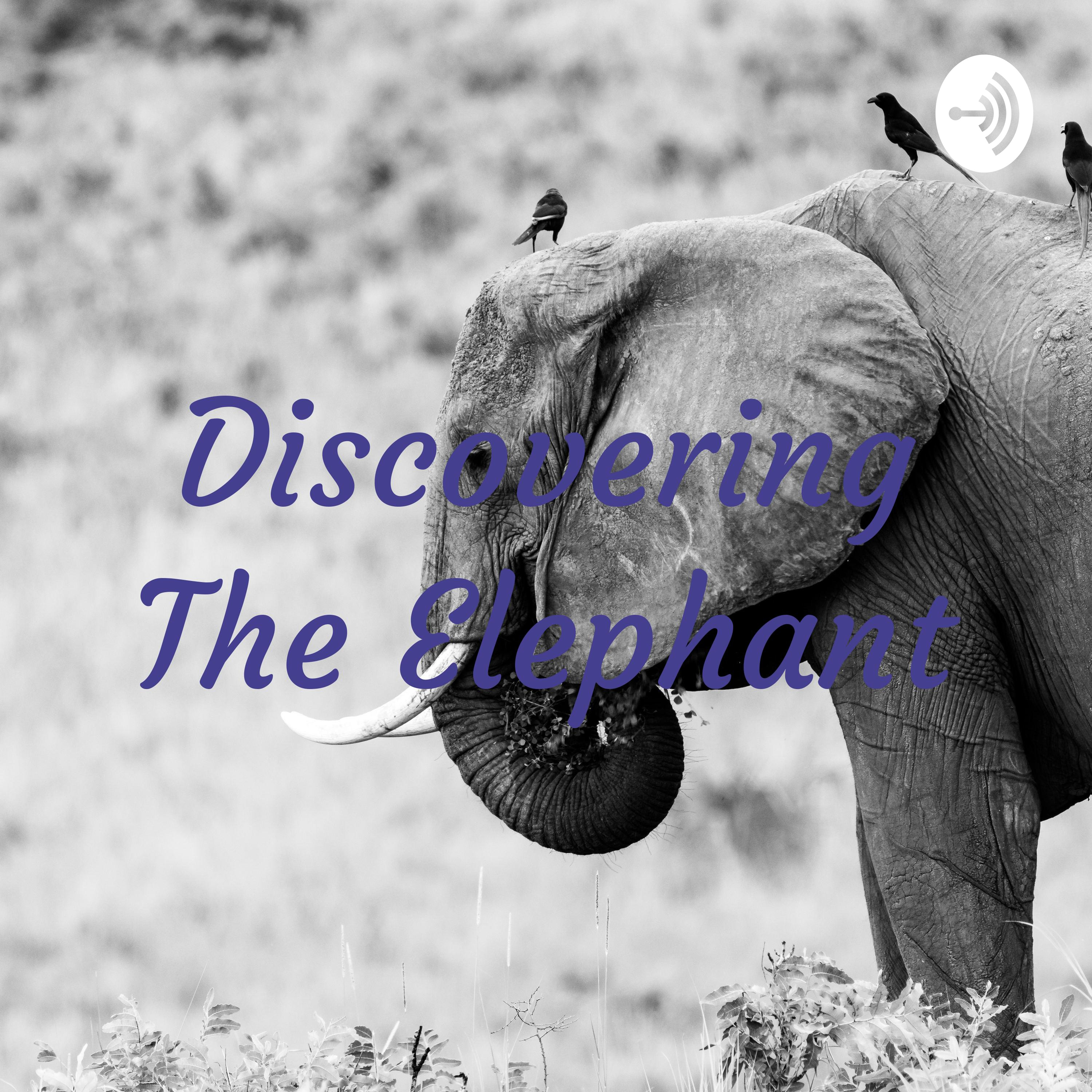 Intro to Discovering the Elephant