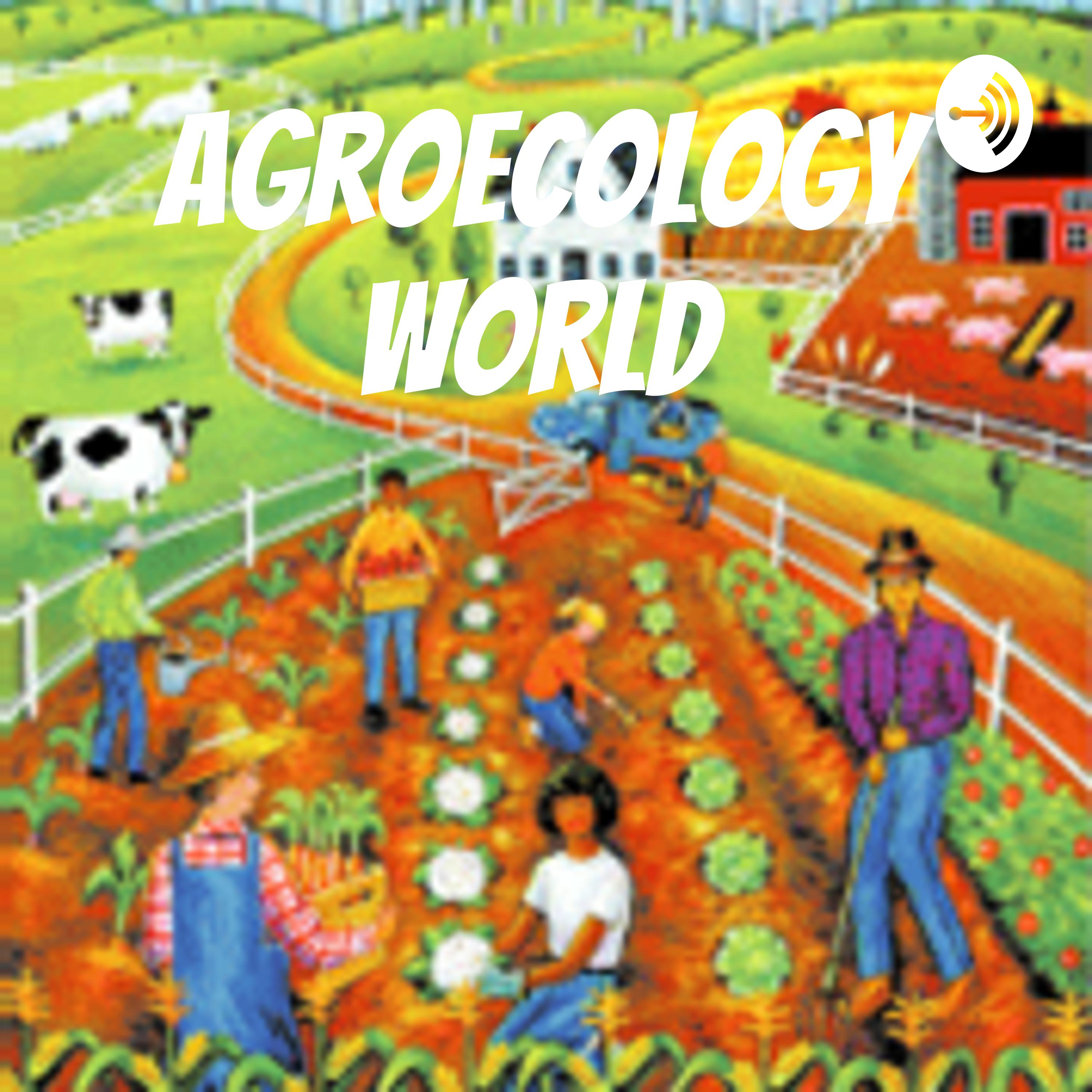 Episode 6_Agroecology World_Bali, Indonesia
