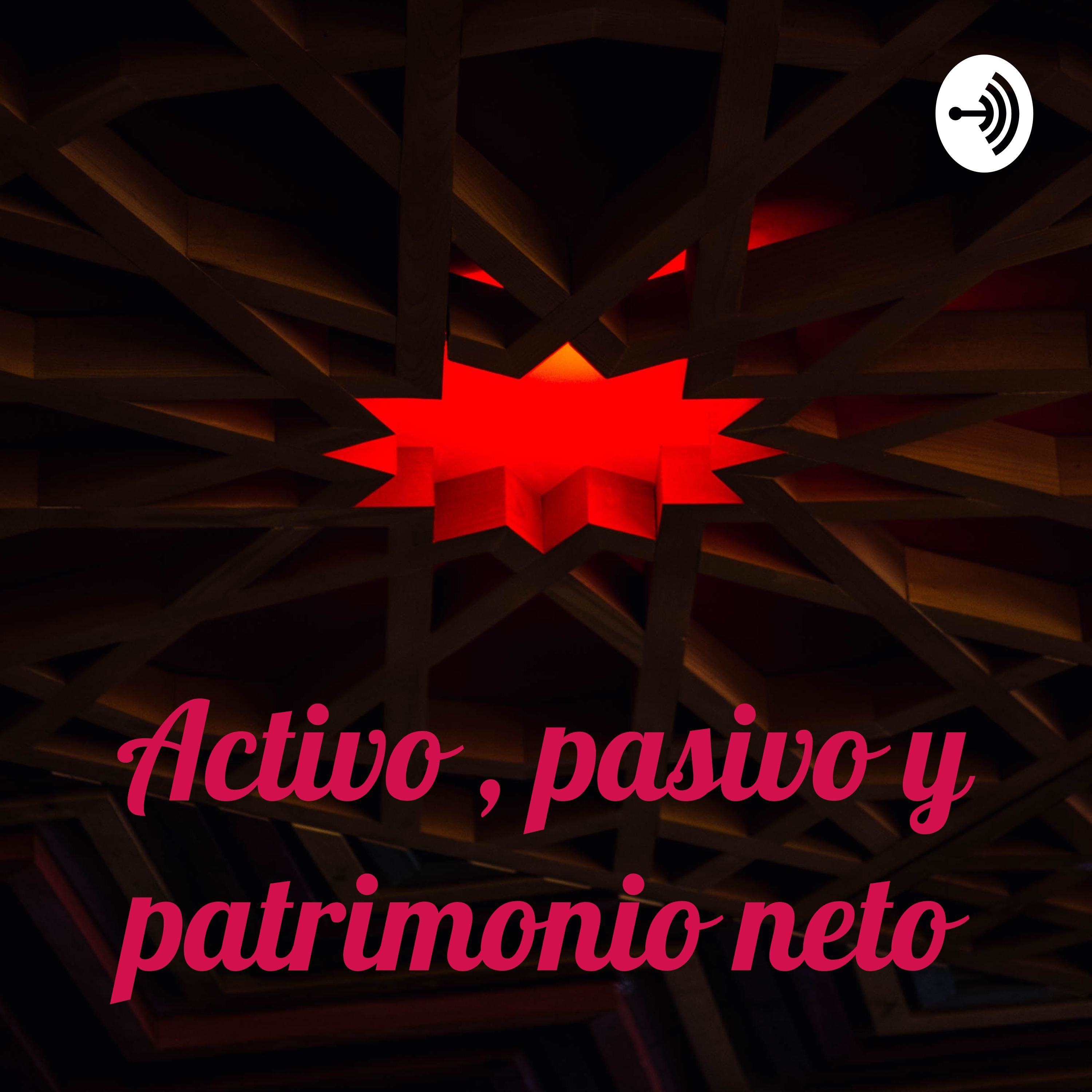 Activo, pasivo y patrimonio neto