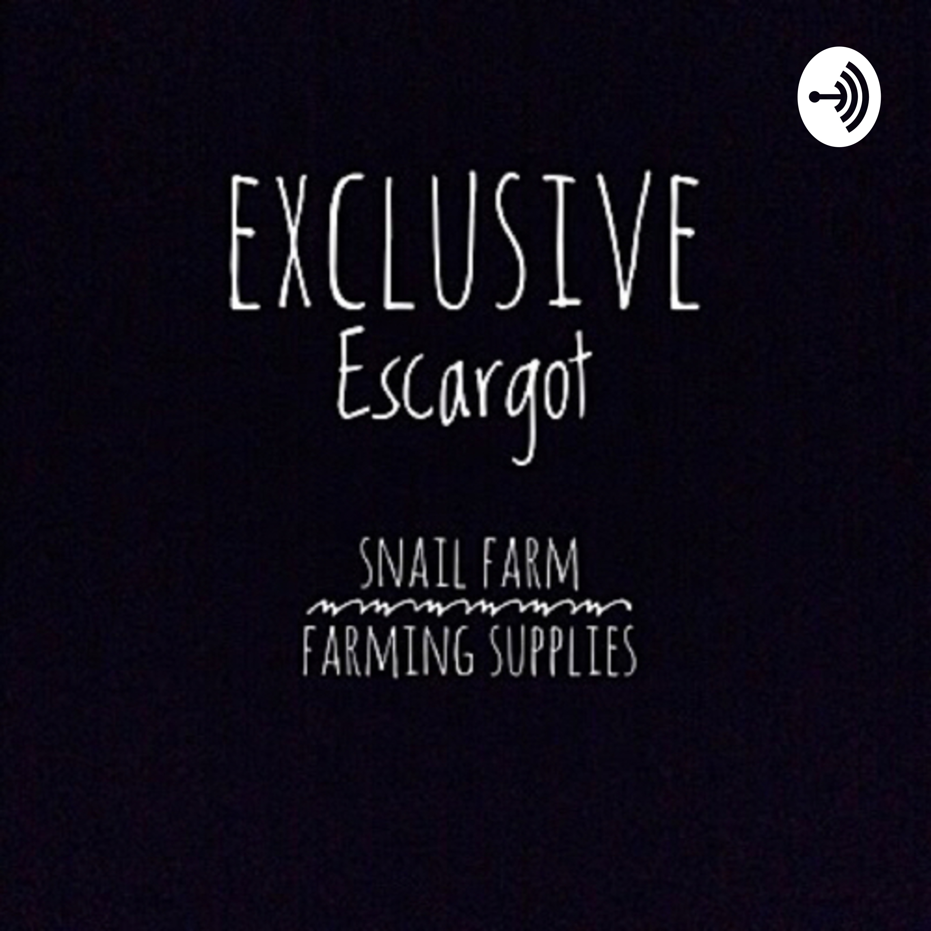 Exclusive Escargot, our beginning