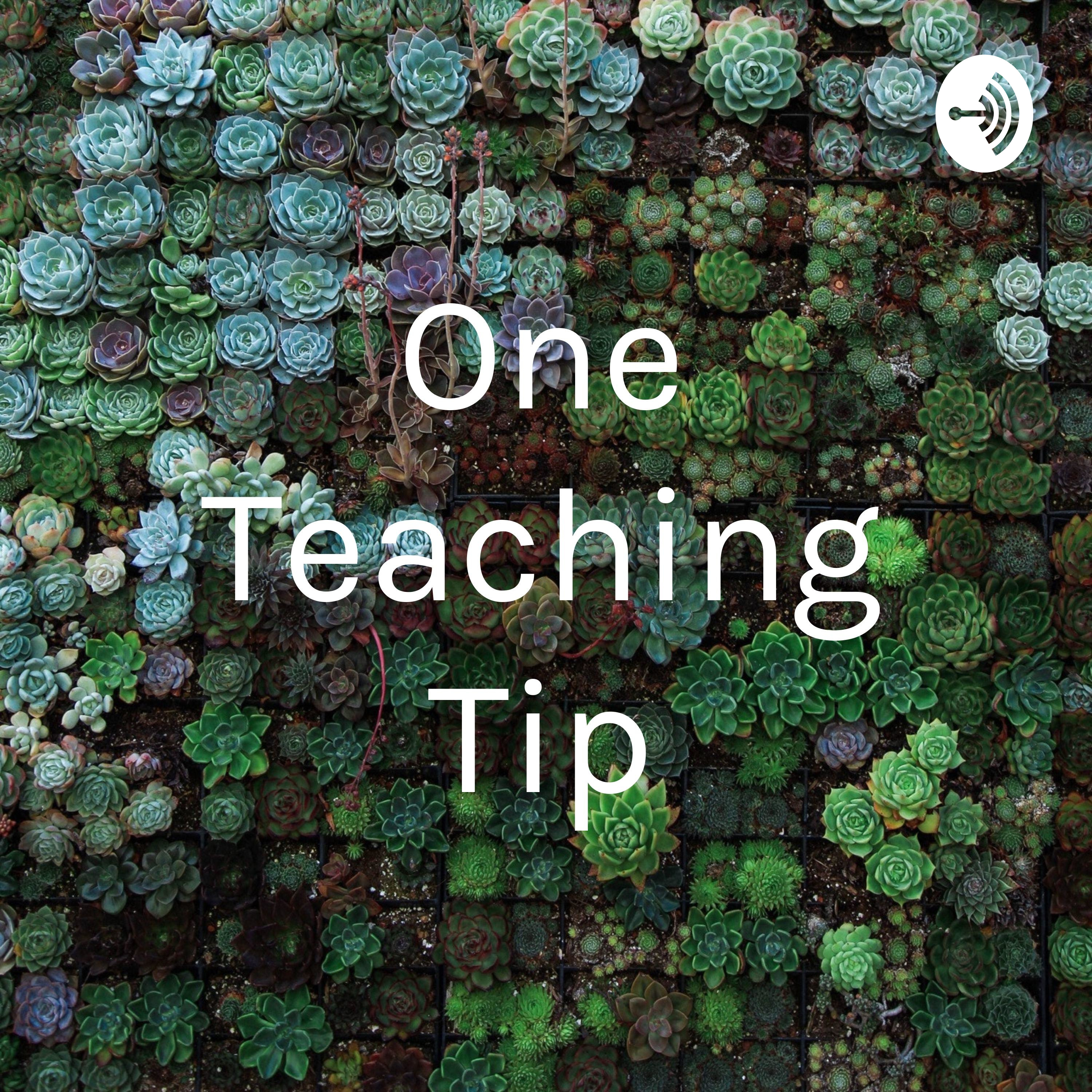 Special episode - One Teaching Tip