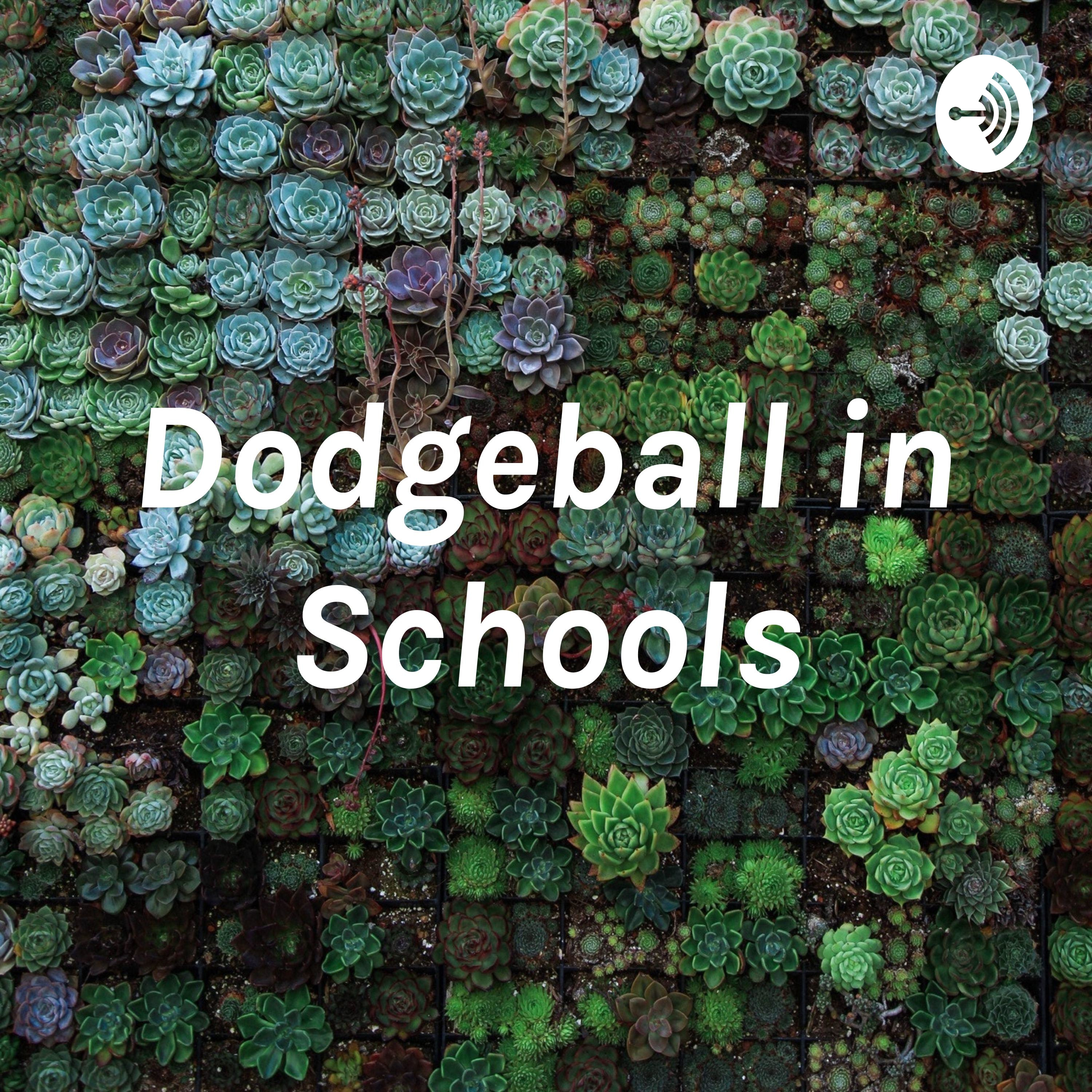 Diversity in the PE classroom