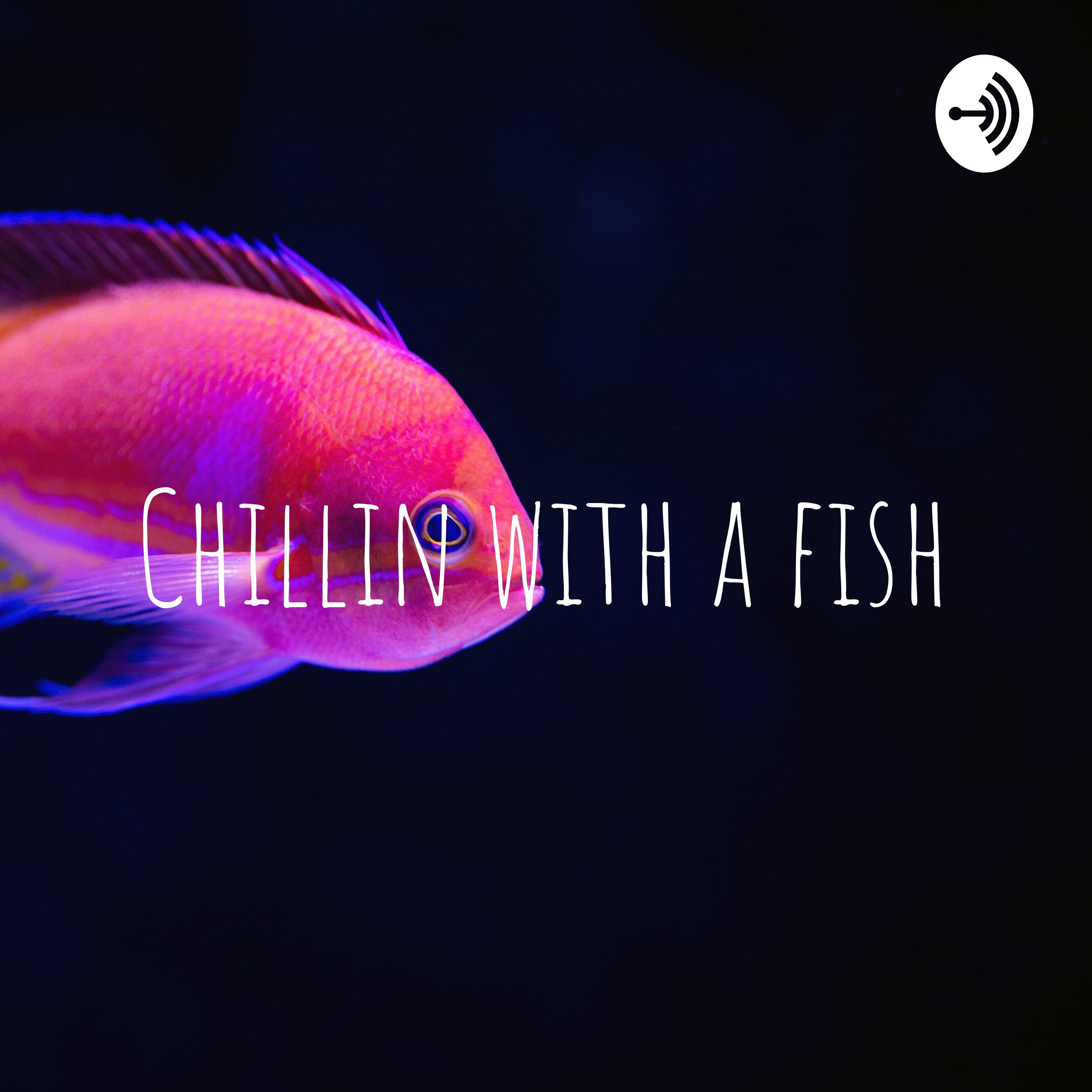 Just a certain fish’s first episode