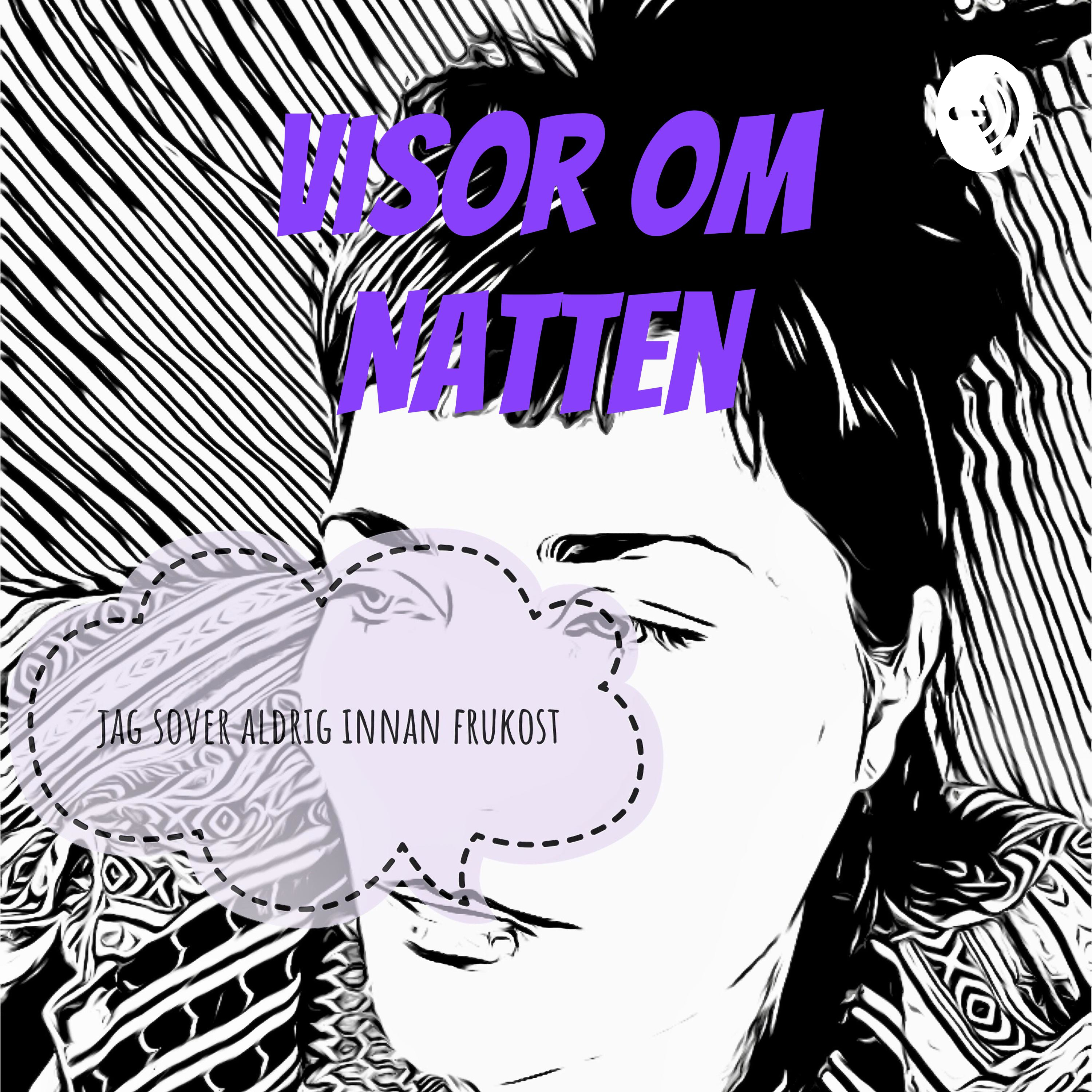 Visor om natten