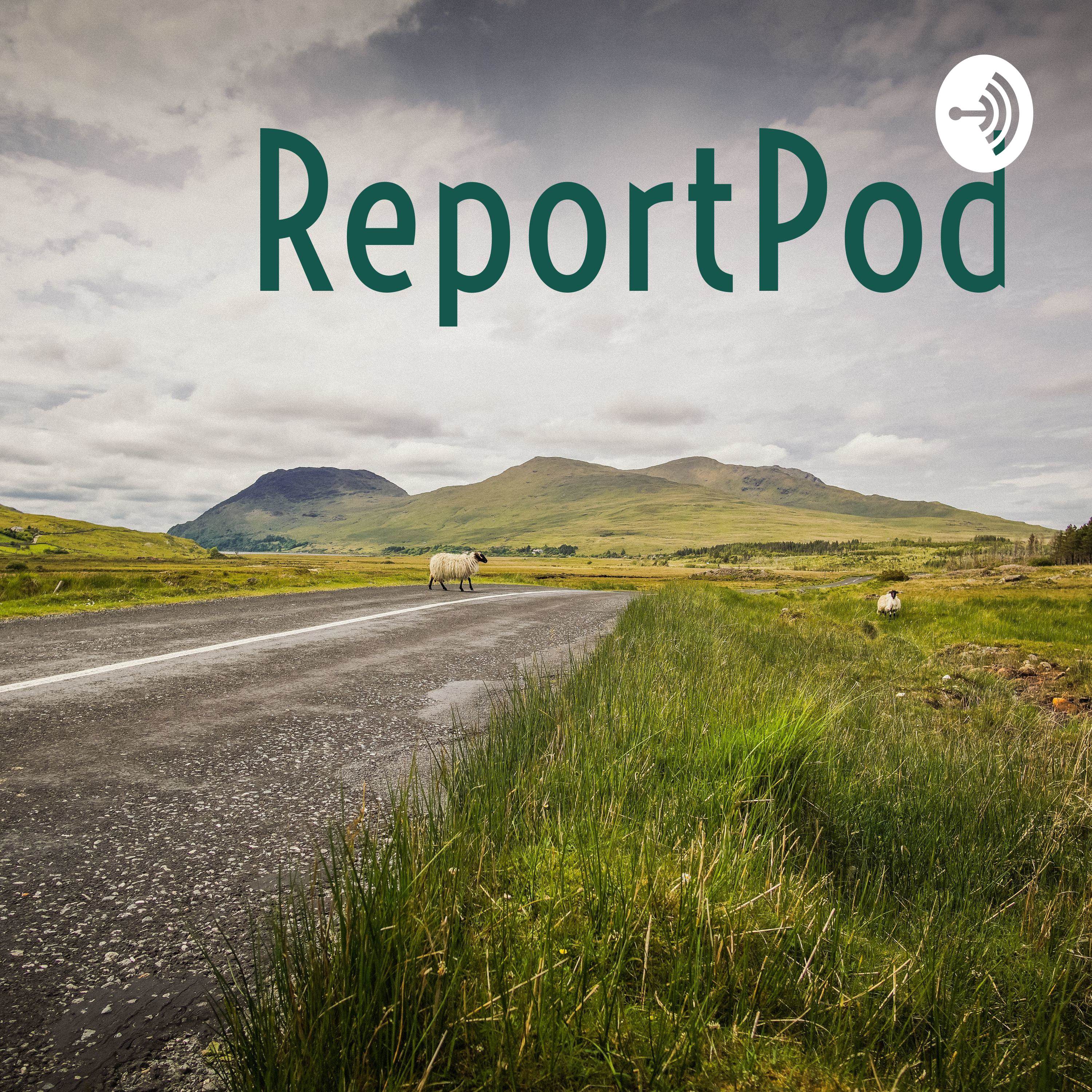 Welcome to the podcast!